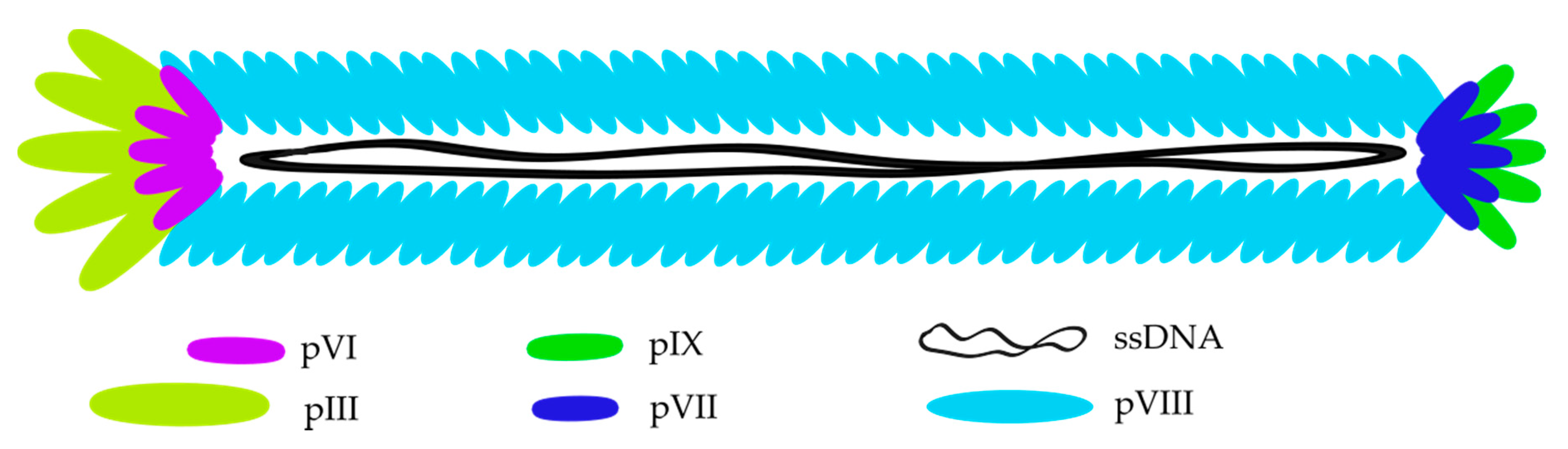 Choosing and Caring for Your Paintbrushes – Phage Design