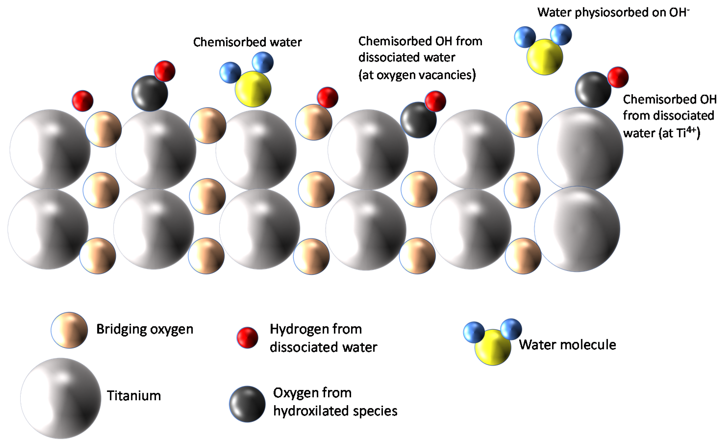 Chemosensors 08 00089 g001