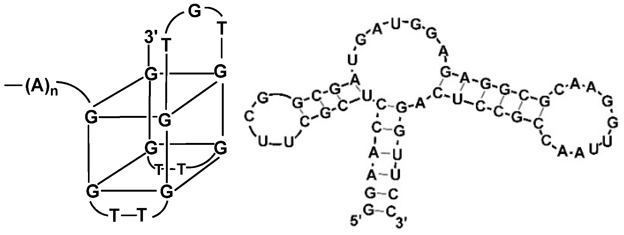 Chemosensors 08 00096 g010 Chemosensors 08 00096 g010