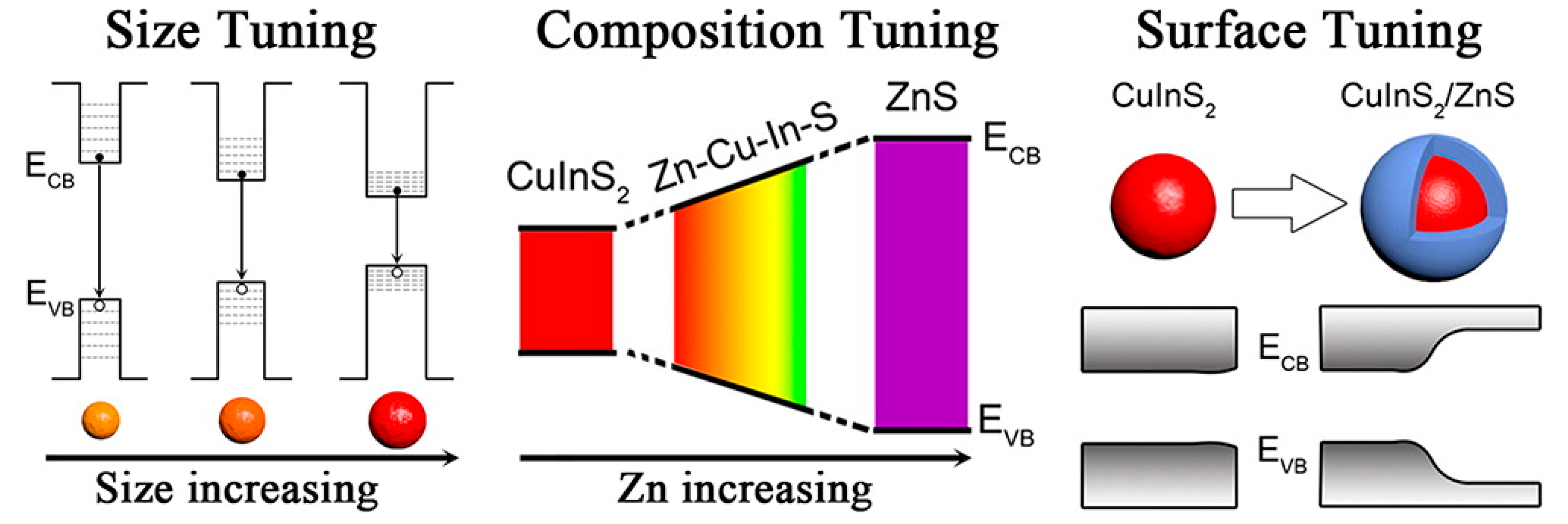 Chemosensors 08 00101 g001