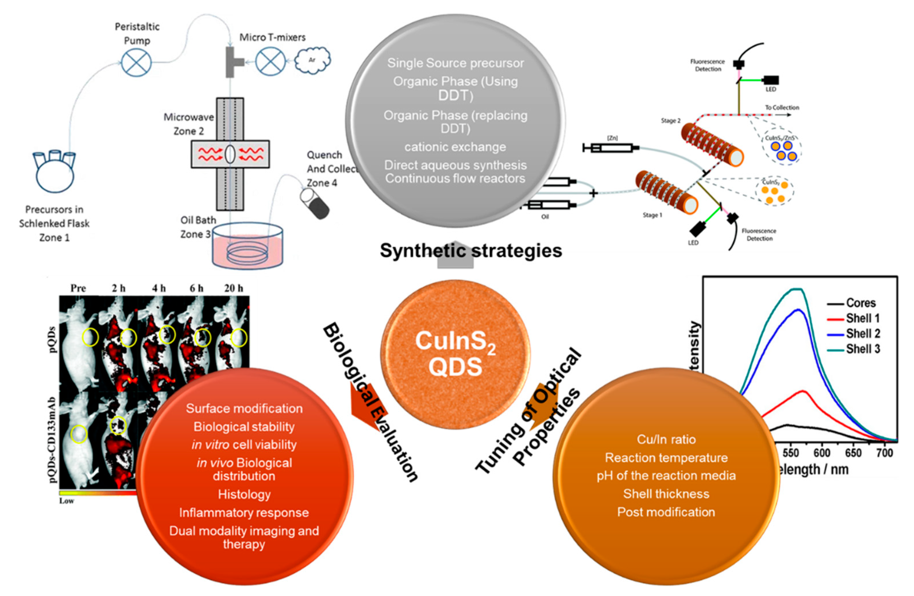 Chemosensors 08 00101 sch001