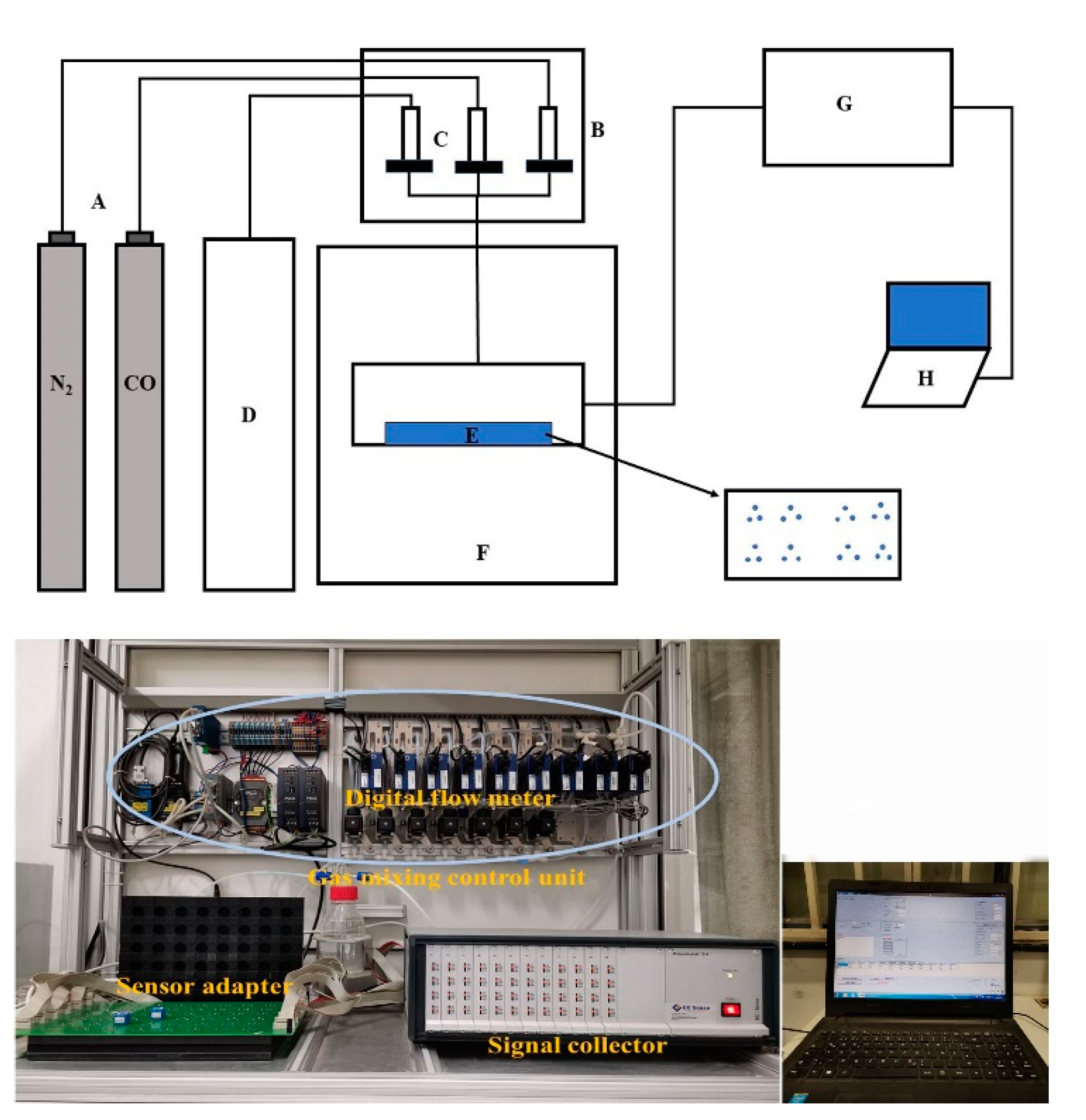 Chemosensors 08 00109 g002