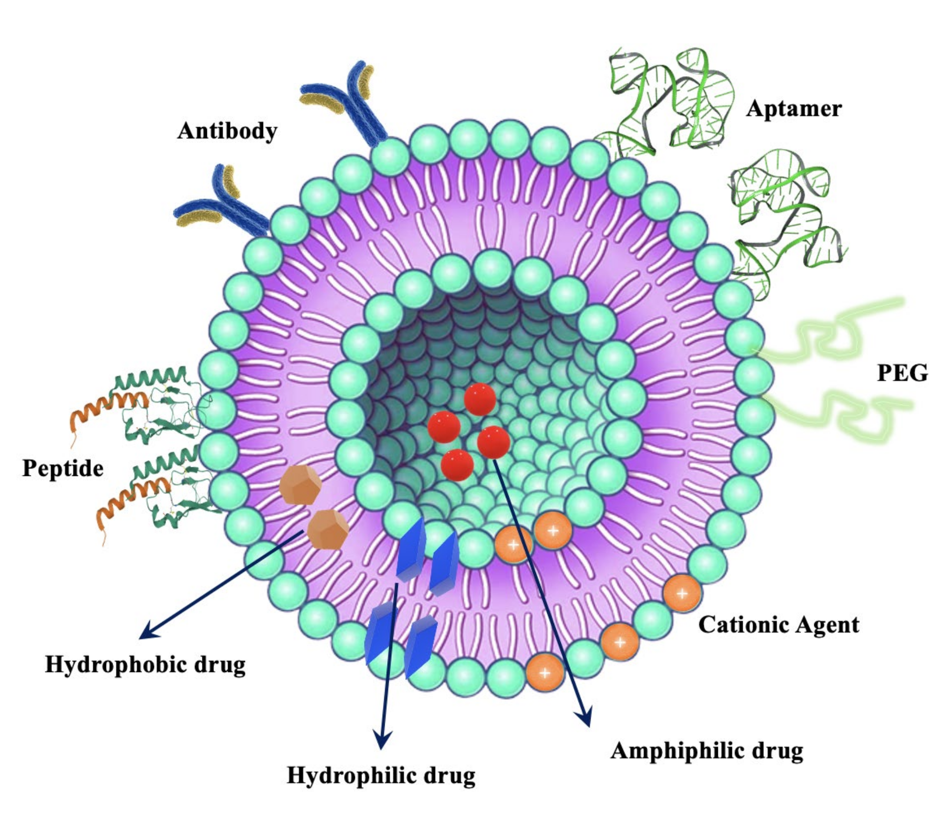 Chemosensors | Free Full-Text | Nanomaterials For Diagnosis And ...