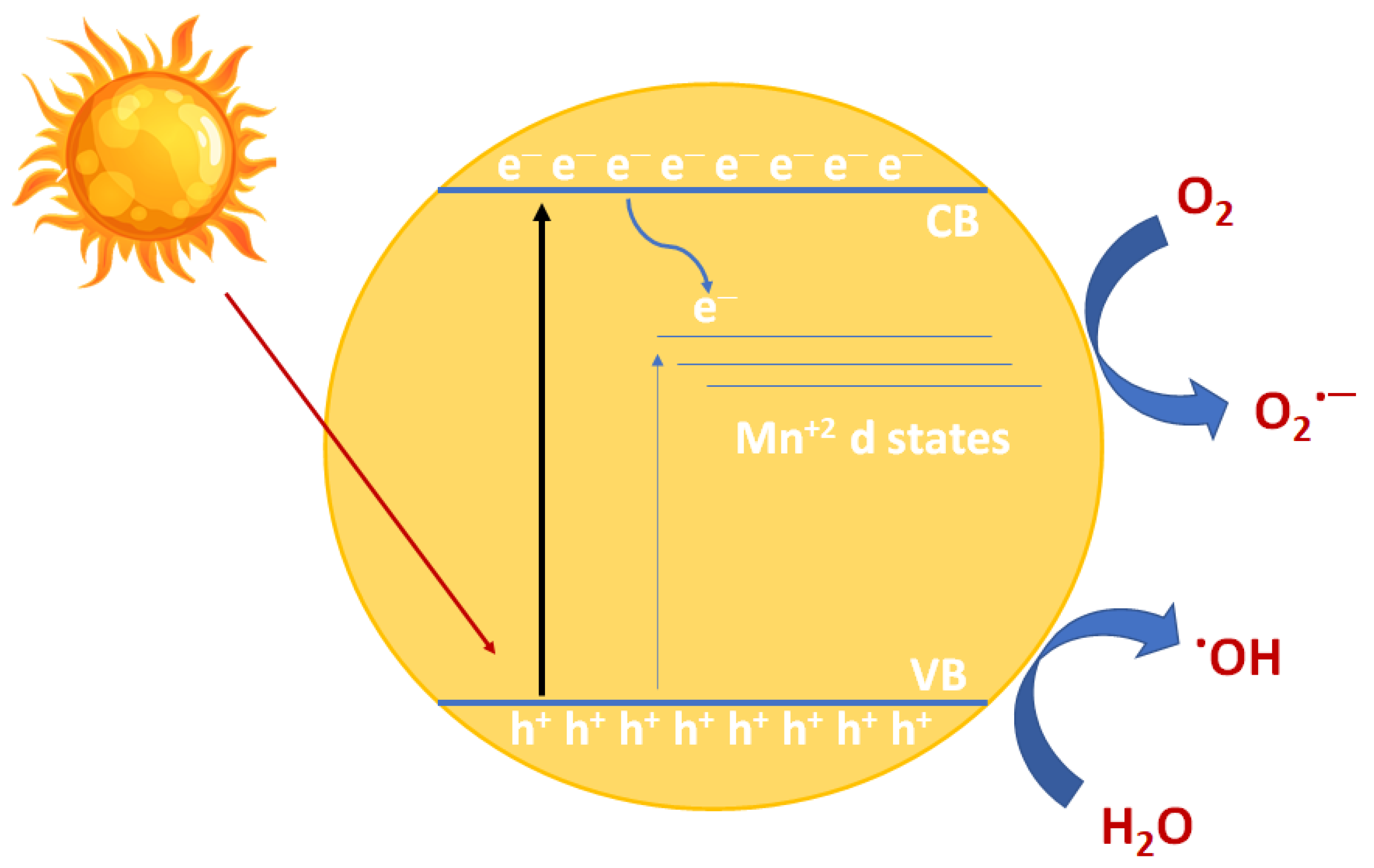 Chemosensors 08 00120 g007 Chemosensors 08 00120 g007