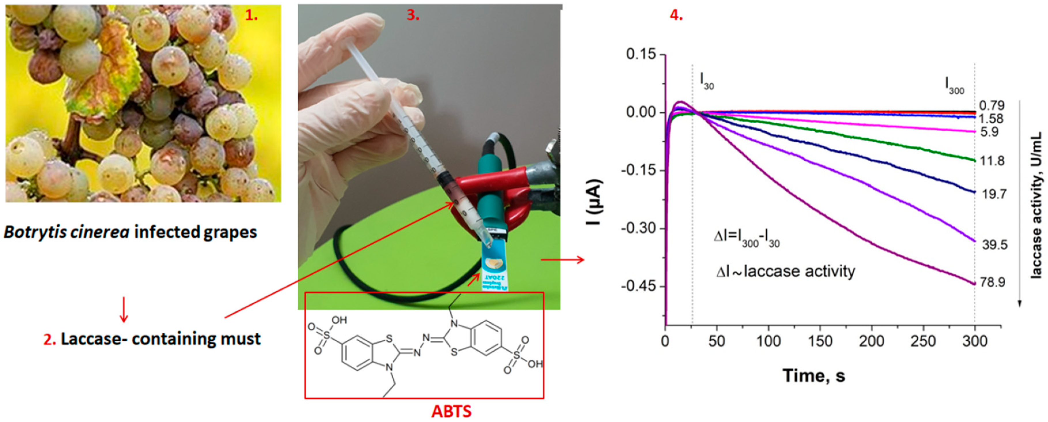 Chemosensors 08 00126 g003