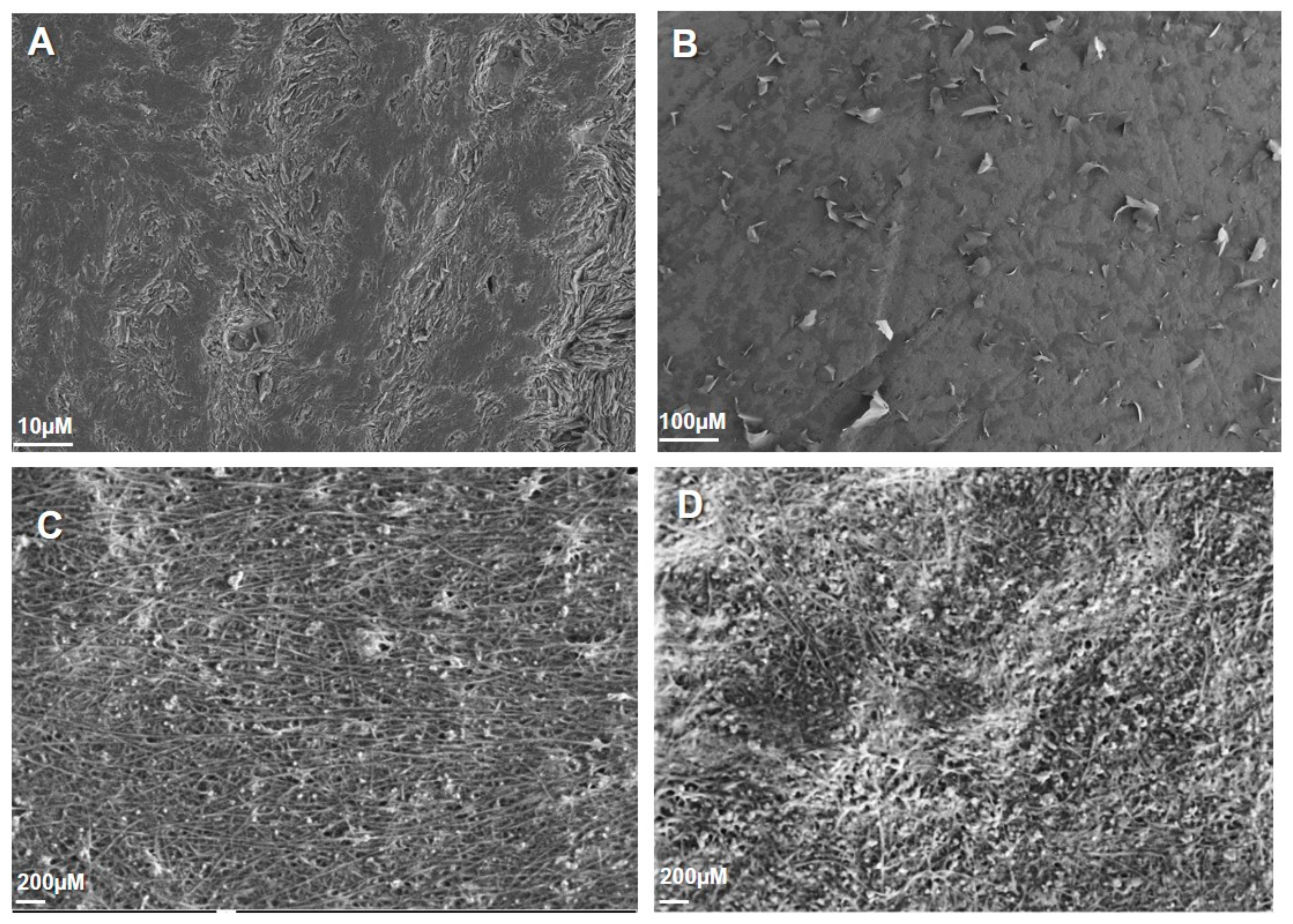 Chemosensors 08 00133 g002