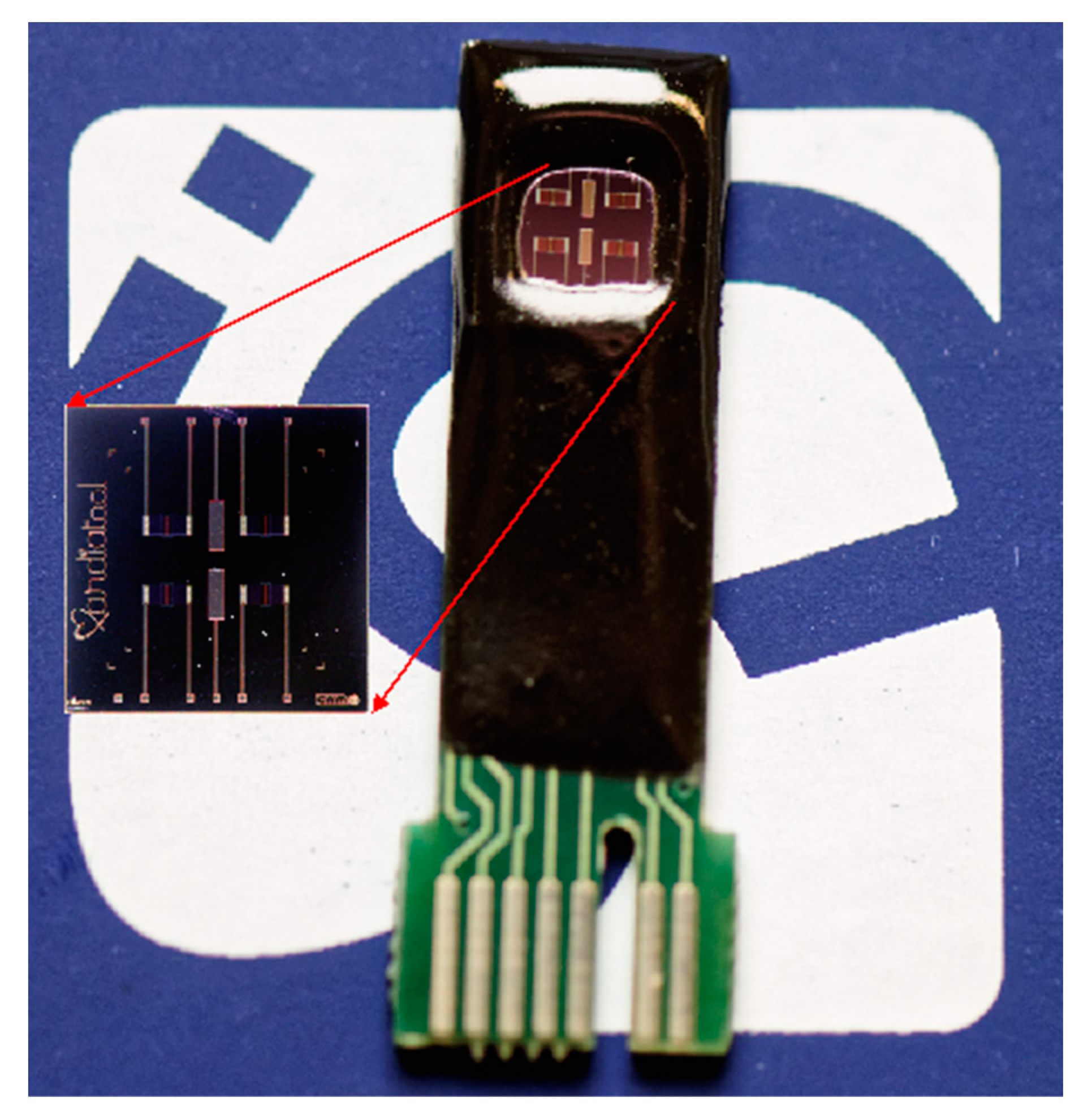 Chemosensors 09 00026 g001 Chemosensors 09 00026 g001