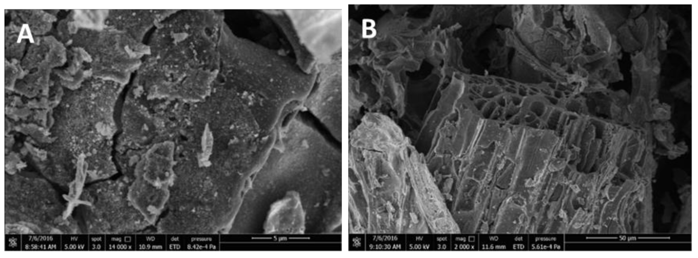 Chemosensors 09 00057 g003a