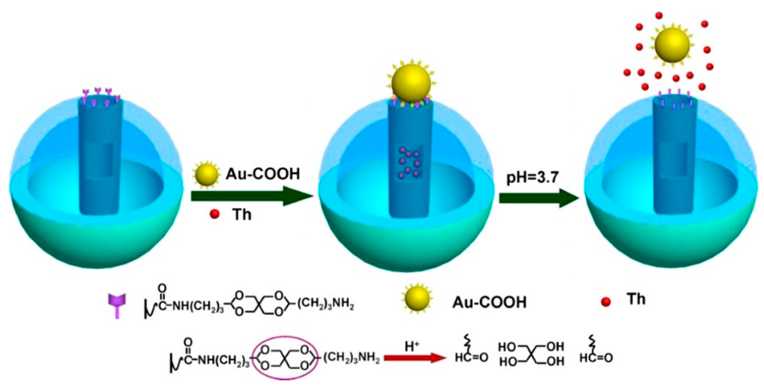 Chemosensors 09 00085 g005 Chemosensors 09 00085 g005