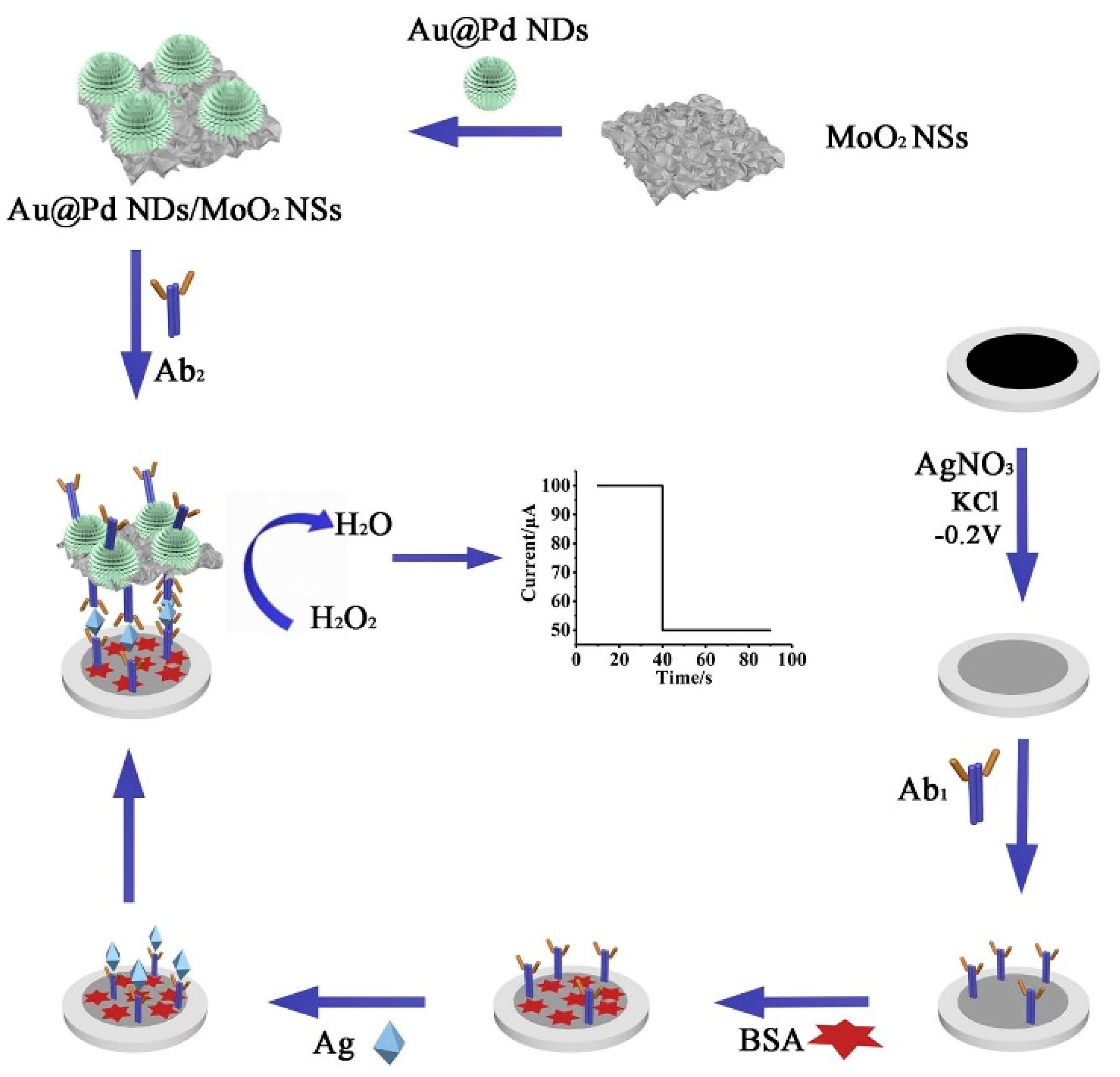 Chemosensors 09 00085 g007 Chemosensors 09 00085 g007