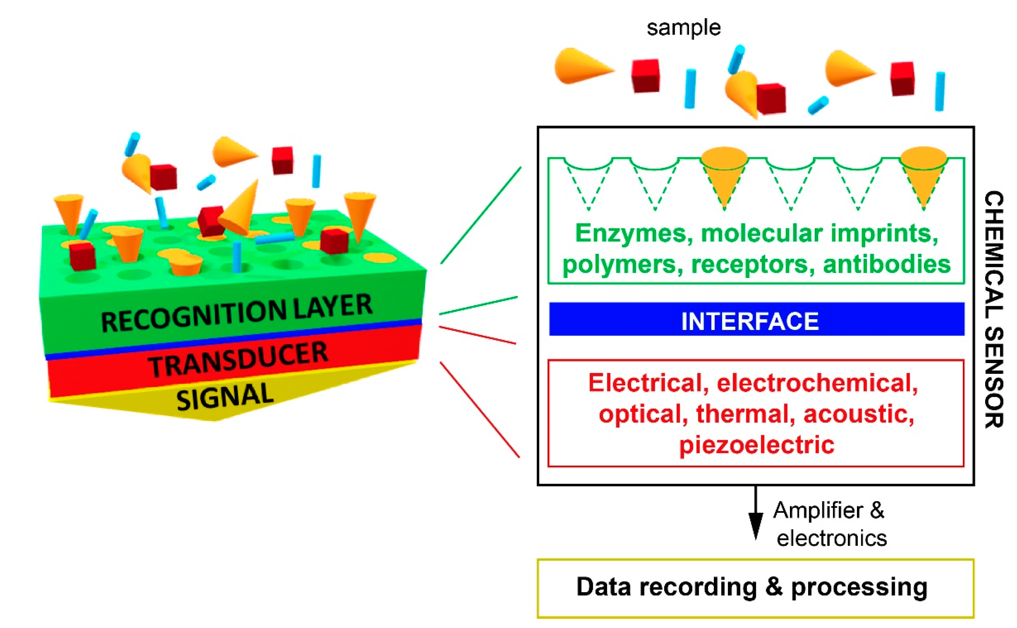 Chemosensors Free Full Text Molecularly Imprinted Polymers For