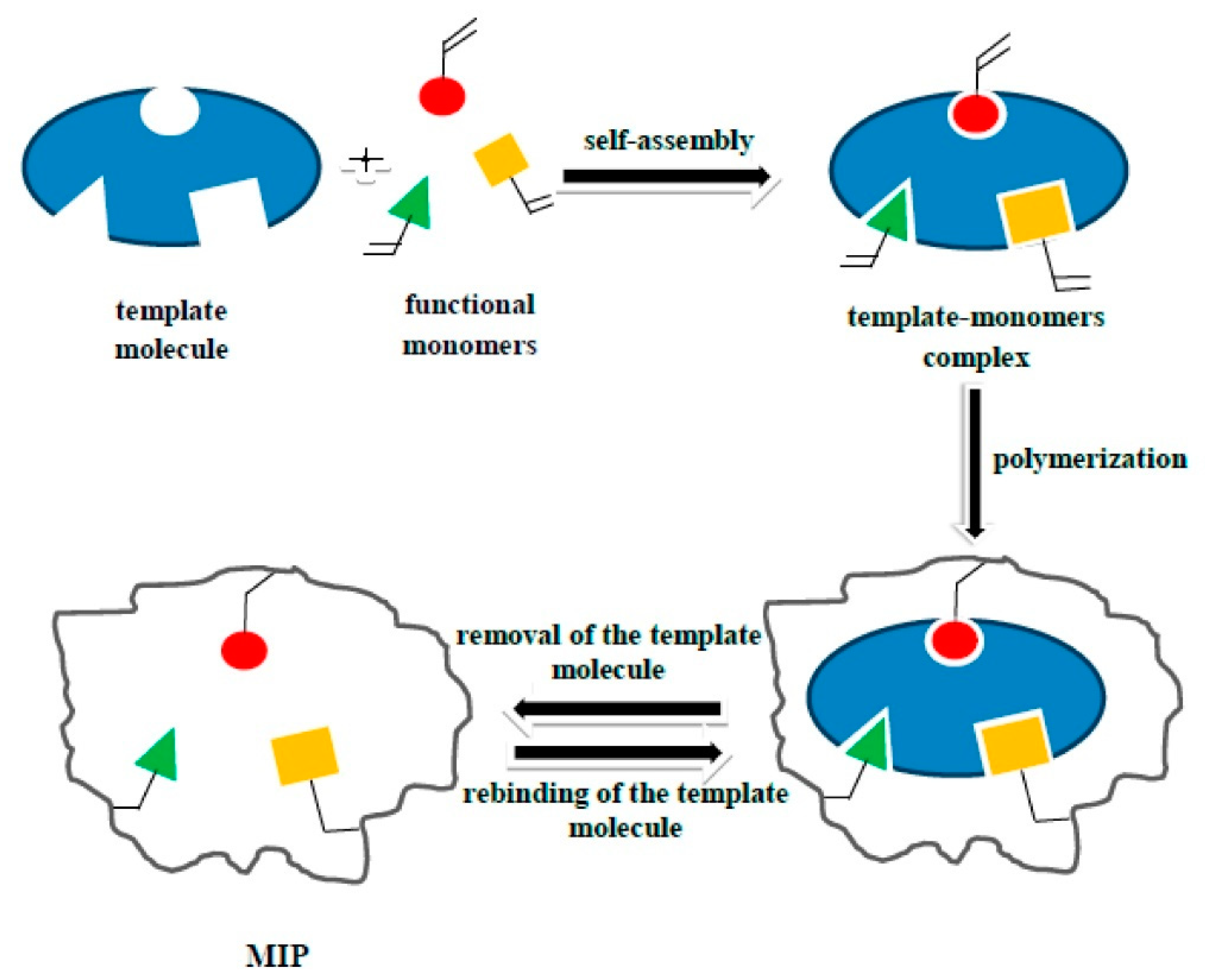 Chemosensors 09 00151 g002