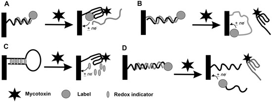 Chemosensors | Free Full-Text | Recent Achievements in 