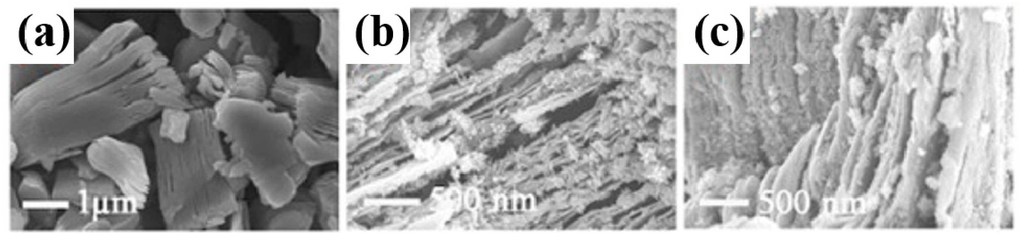 Chemosensors 09 00225 g015