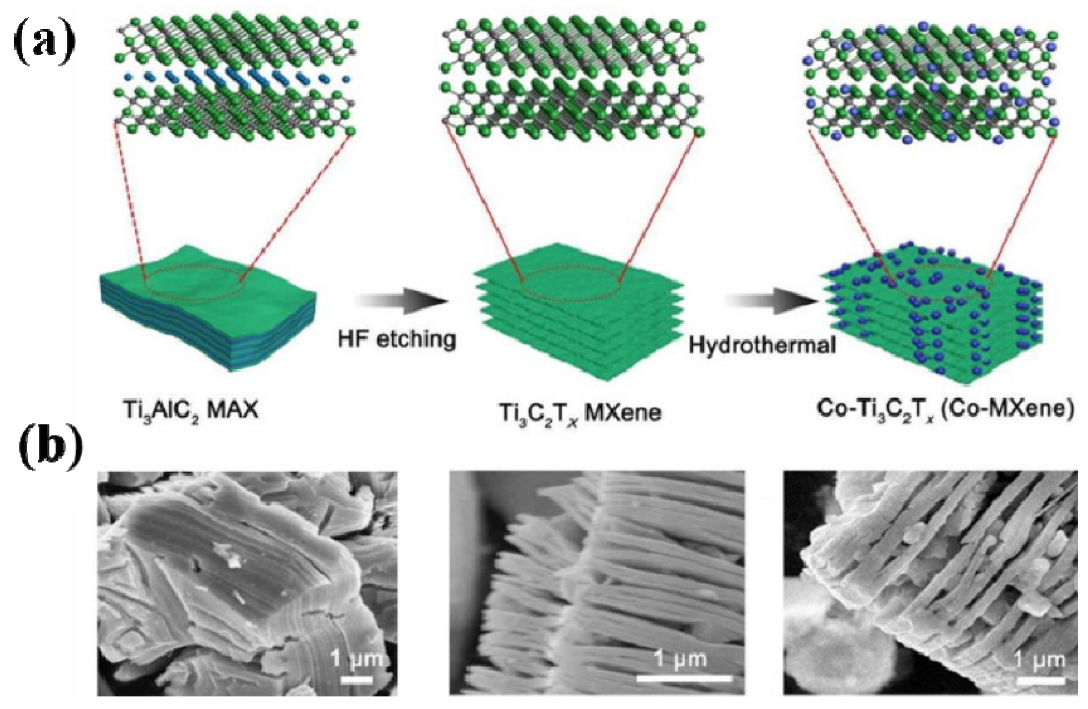 Chemosensors 09 00225 g016