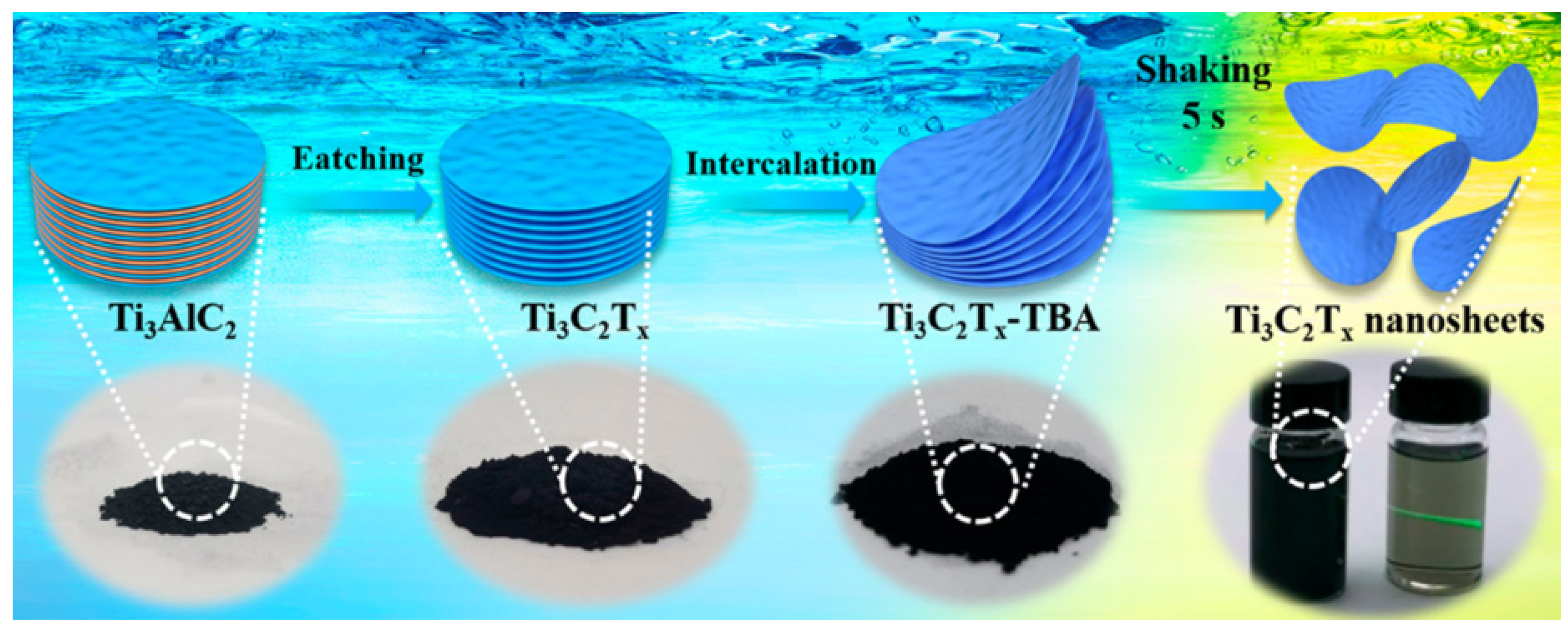 Chemosensors 09 00225 g021