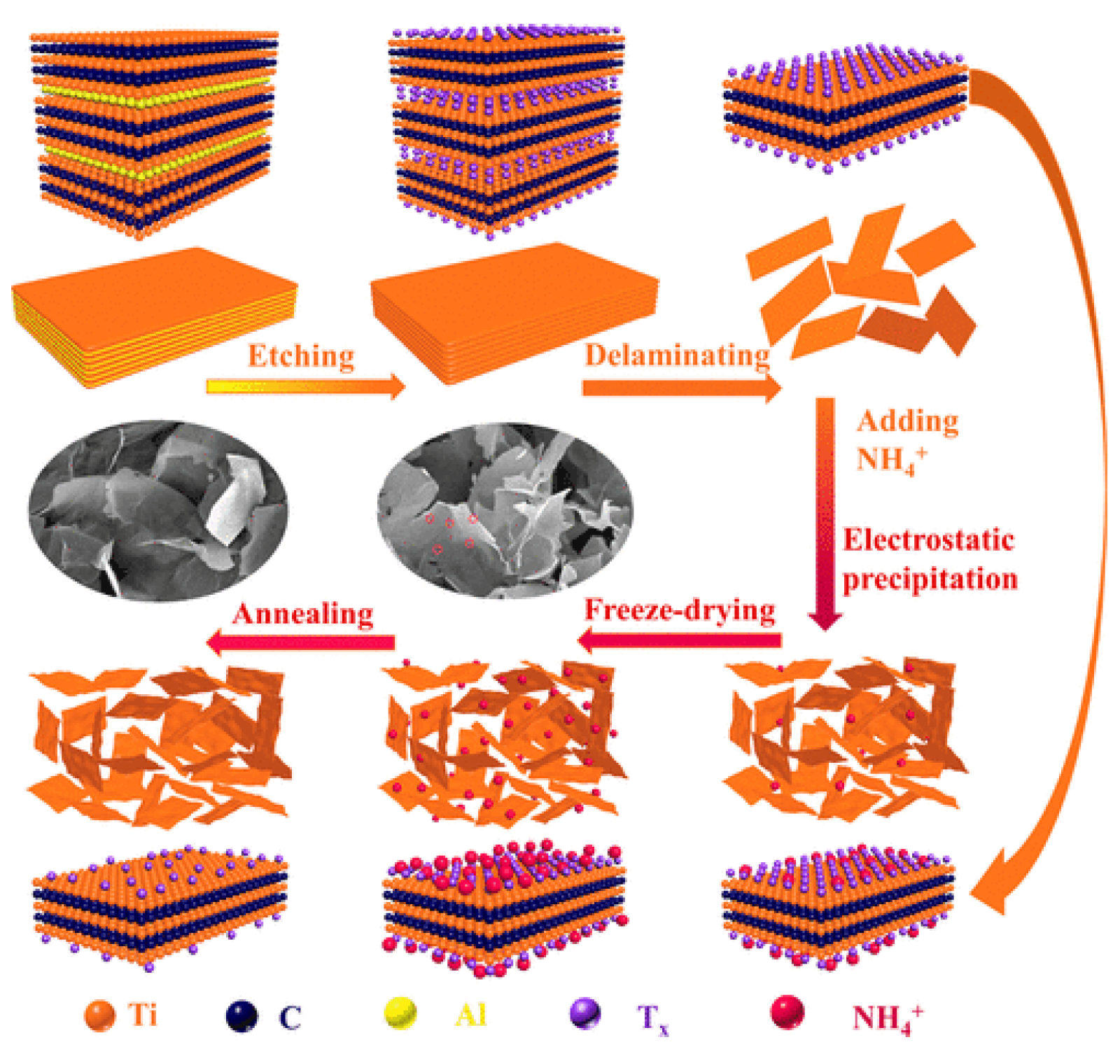 Chemosensors 09 00225 g022