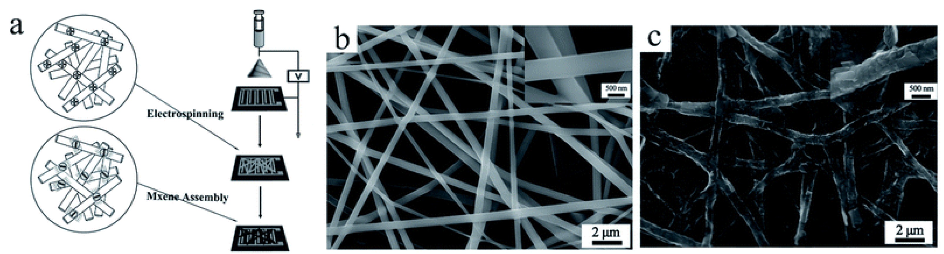Chemosensors 09 00225 g024
