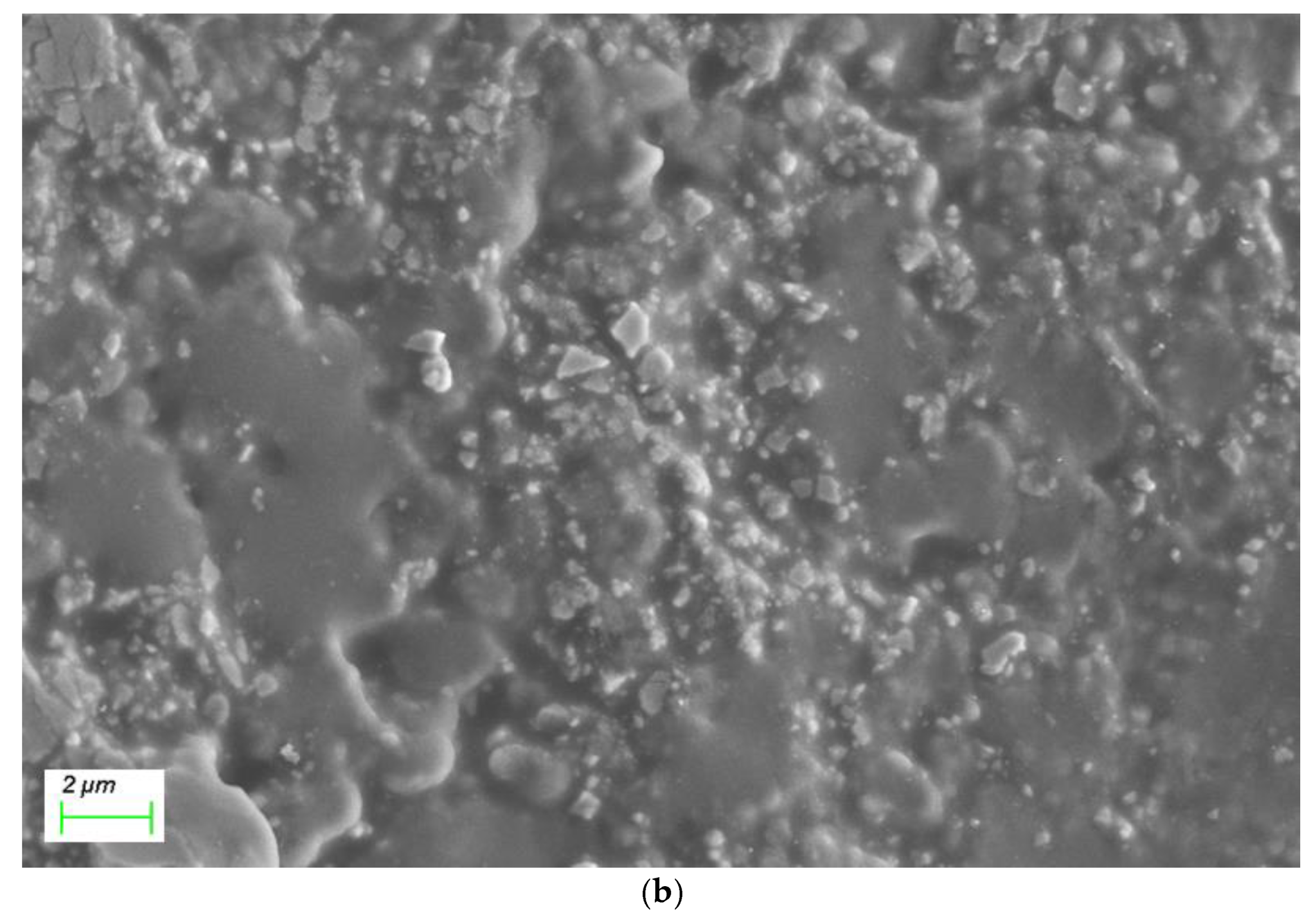 Chemosensors 09 00236 g002b