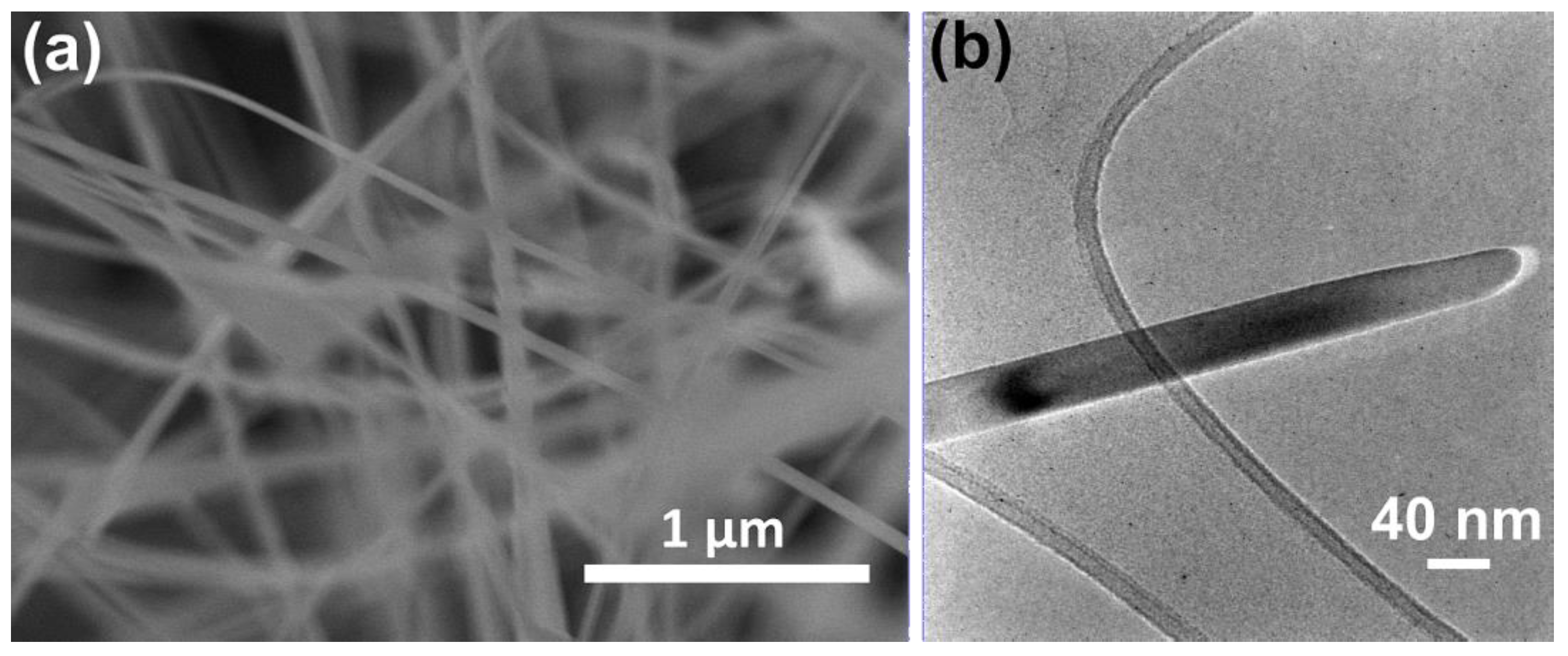 Chemosensors 09 00249 g001