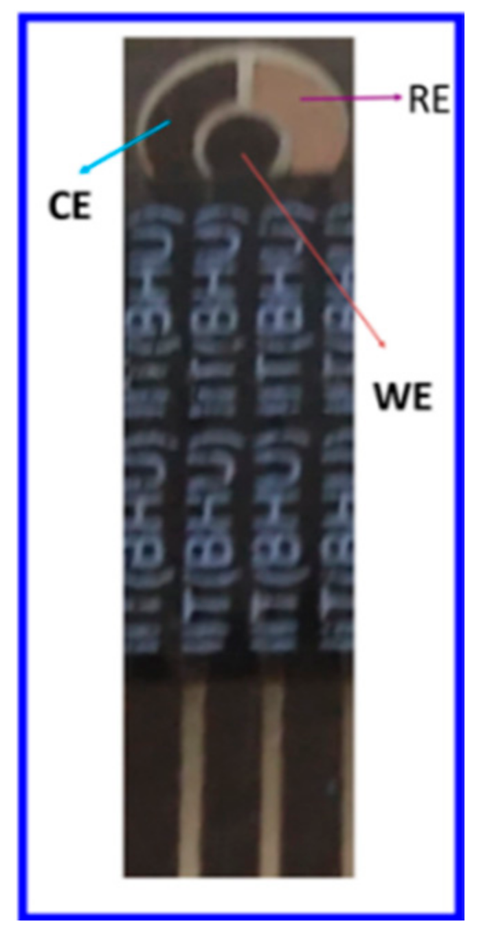 Chemosensors 09 00253 g001
