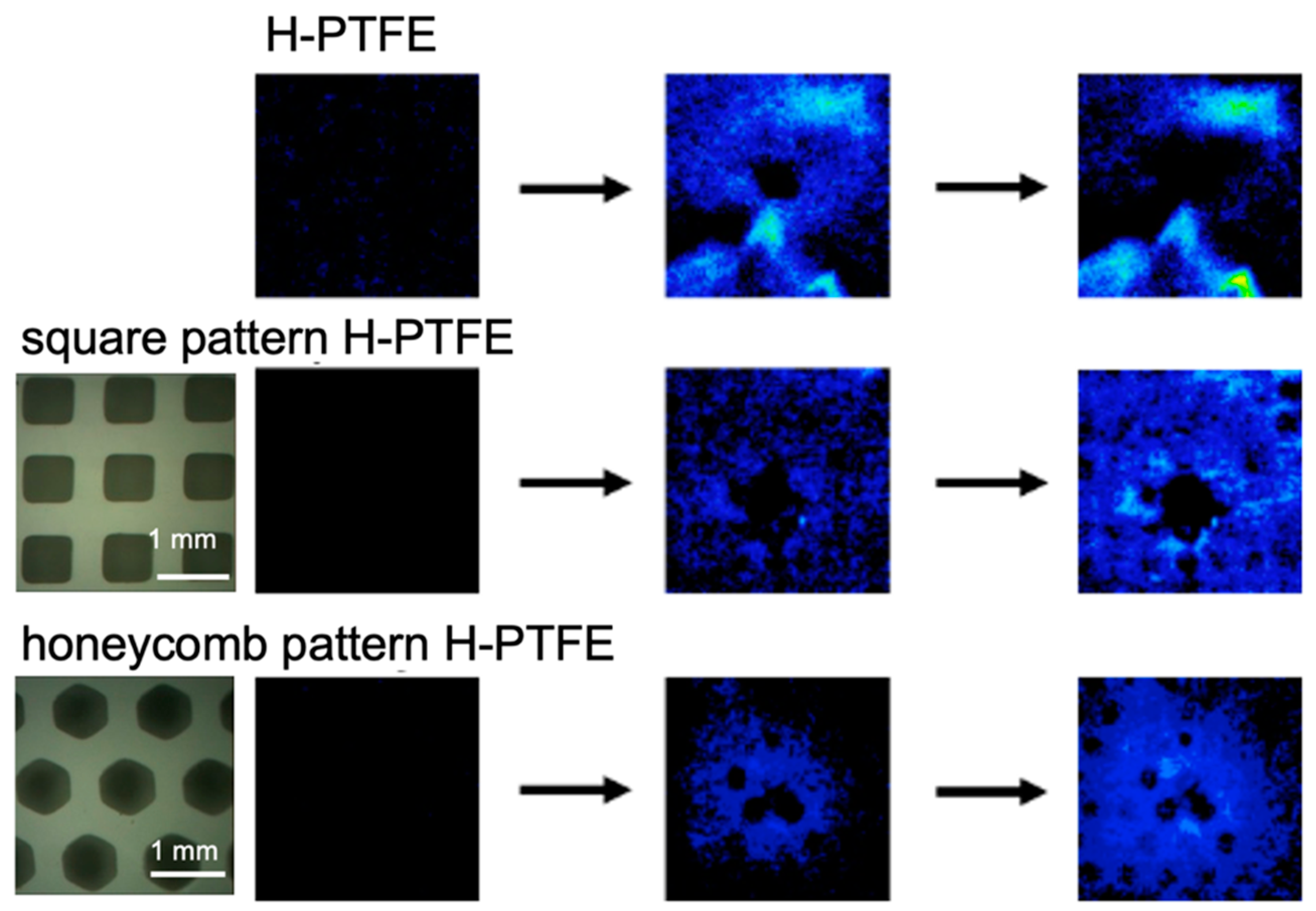 Chemosensors 09 00258 g003
