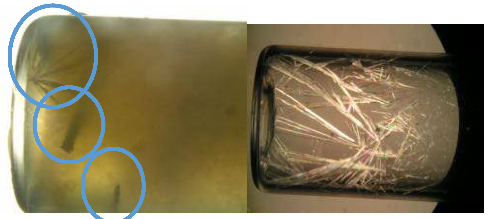 Chemosensors 09 00267 g011