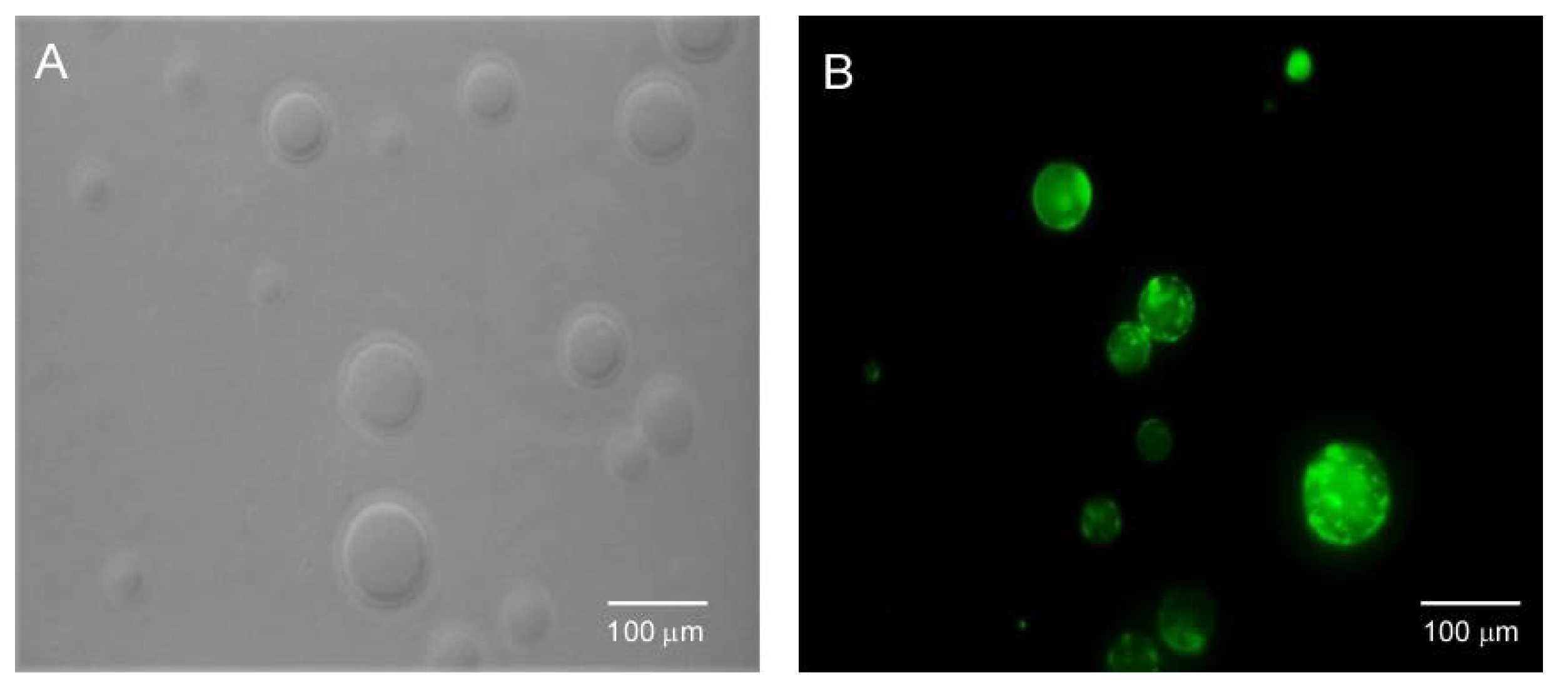 Chemosensors 09 00267 g012