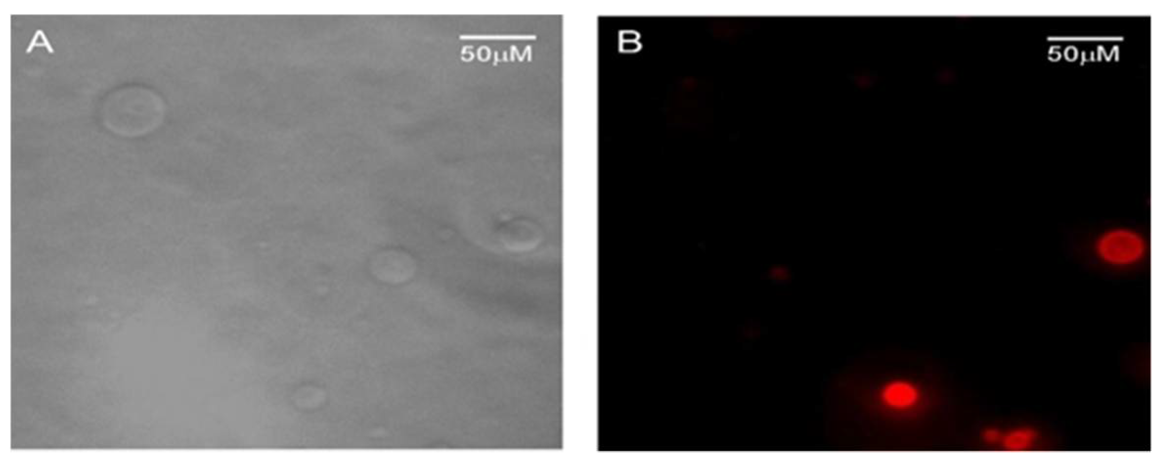 Chemosensors 09 00267 g013