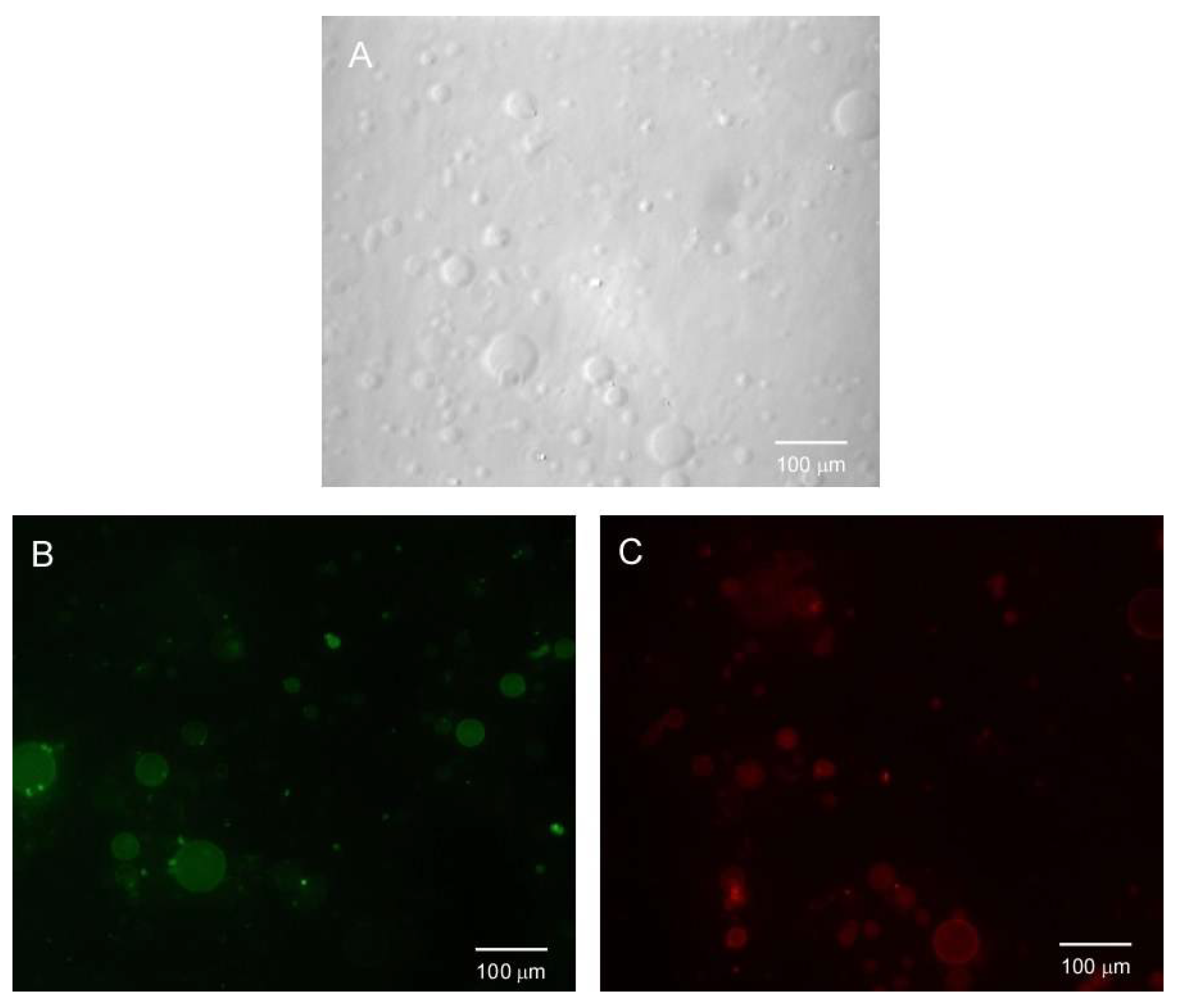 Chemosensors 09 00267 g014