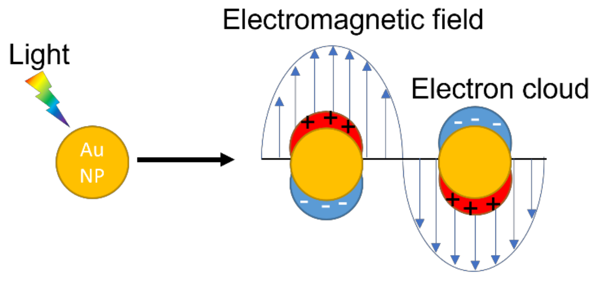 Chemosensors 09 00281 g001