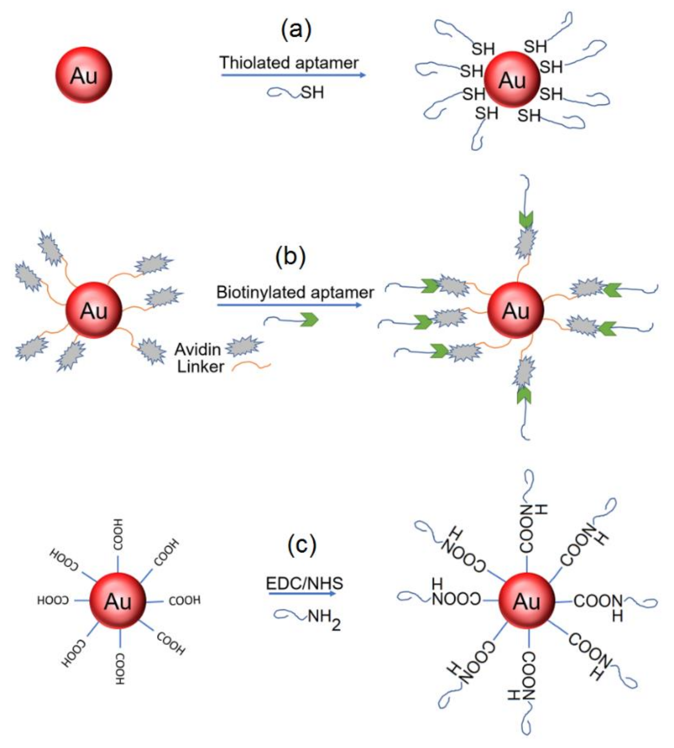 Chemosensors 09 00281 g004