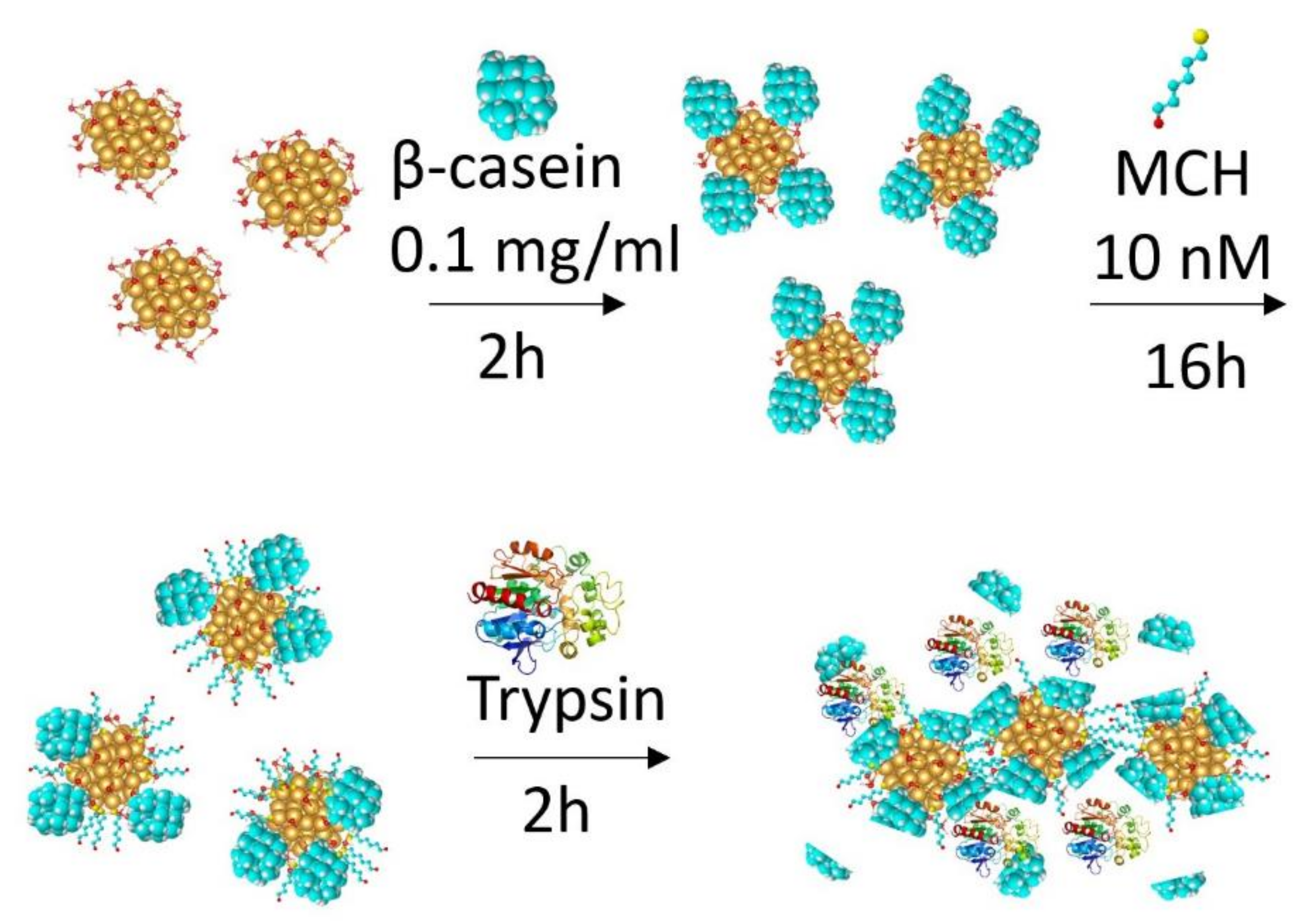 Chemosensors 09 00281 g006