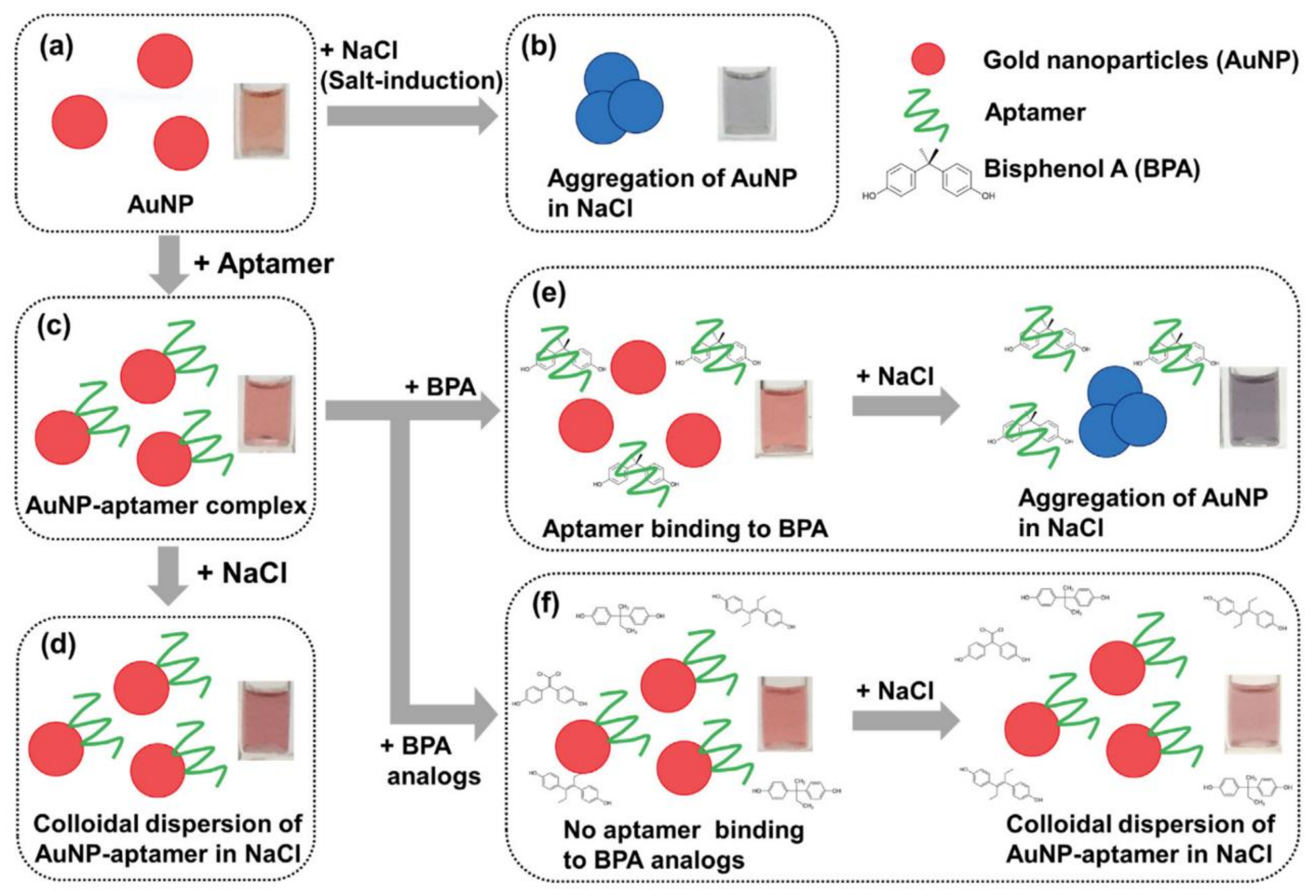 Chemosensors 09 00281 g009