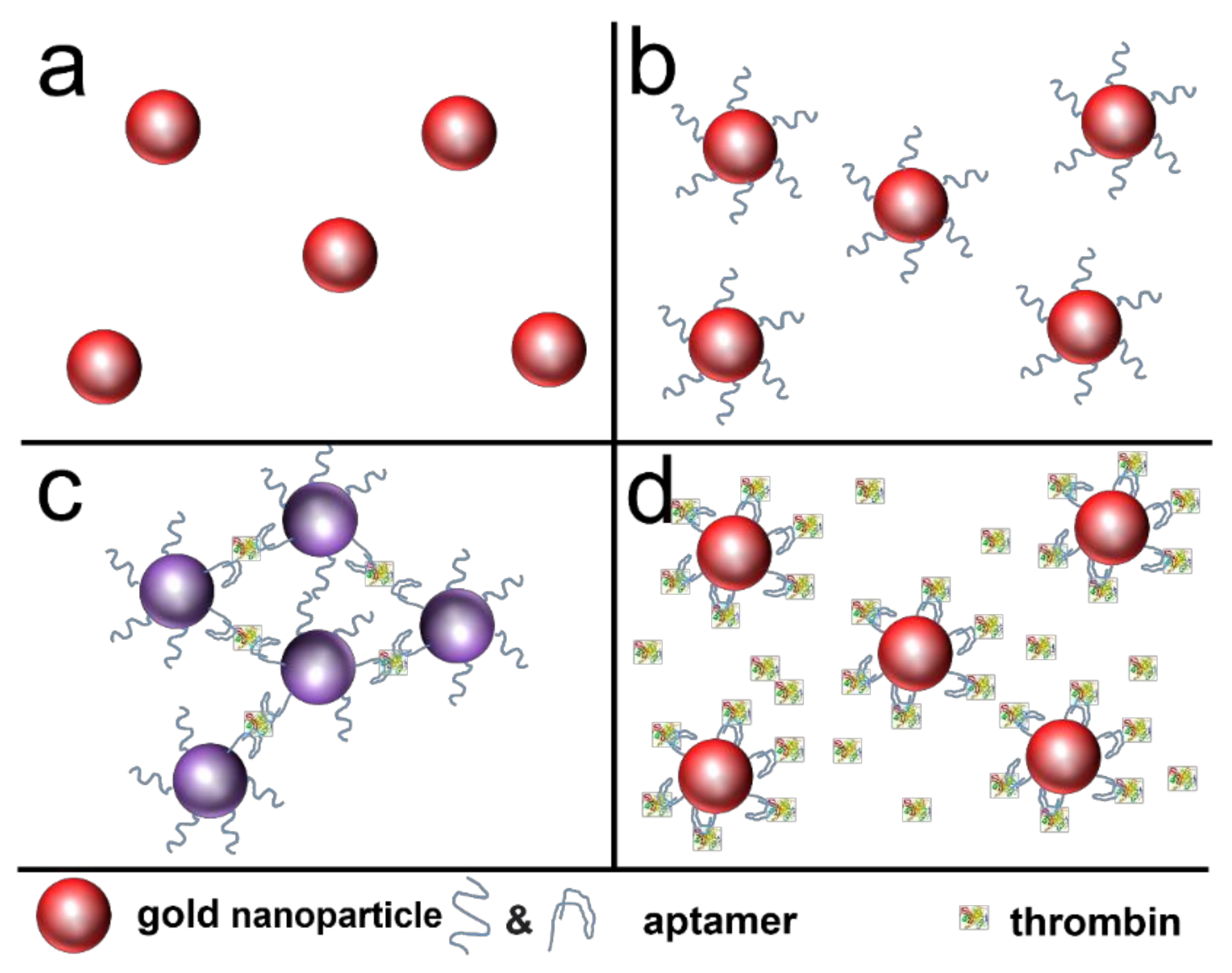 Chemosensors 09 00281 g010