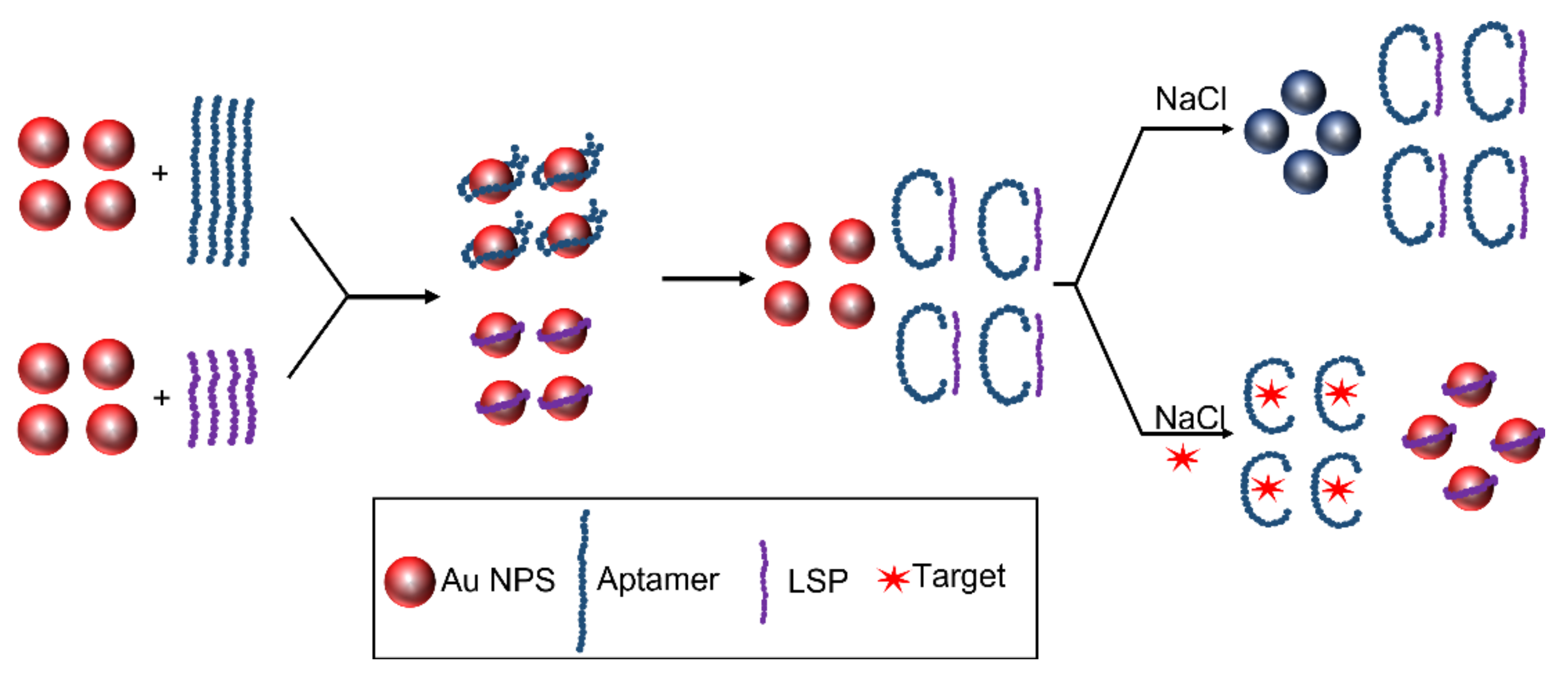Chemosensors 09 00281 g012