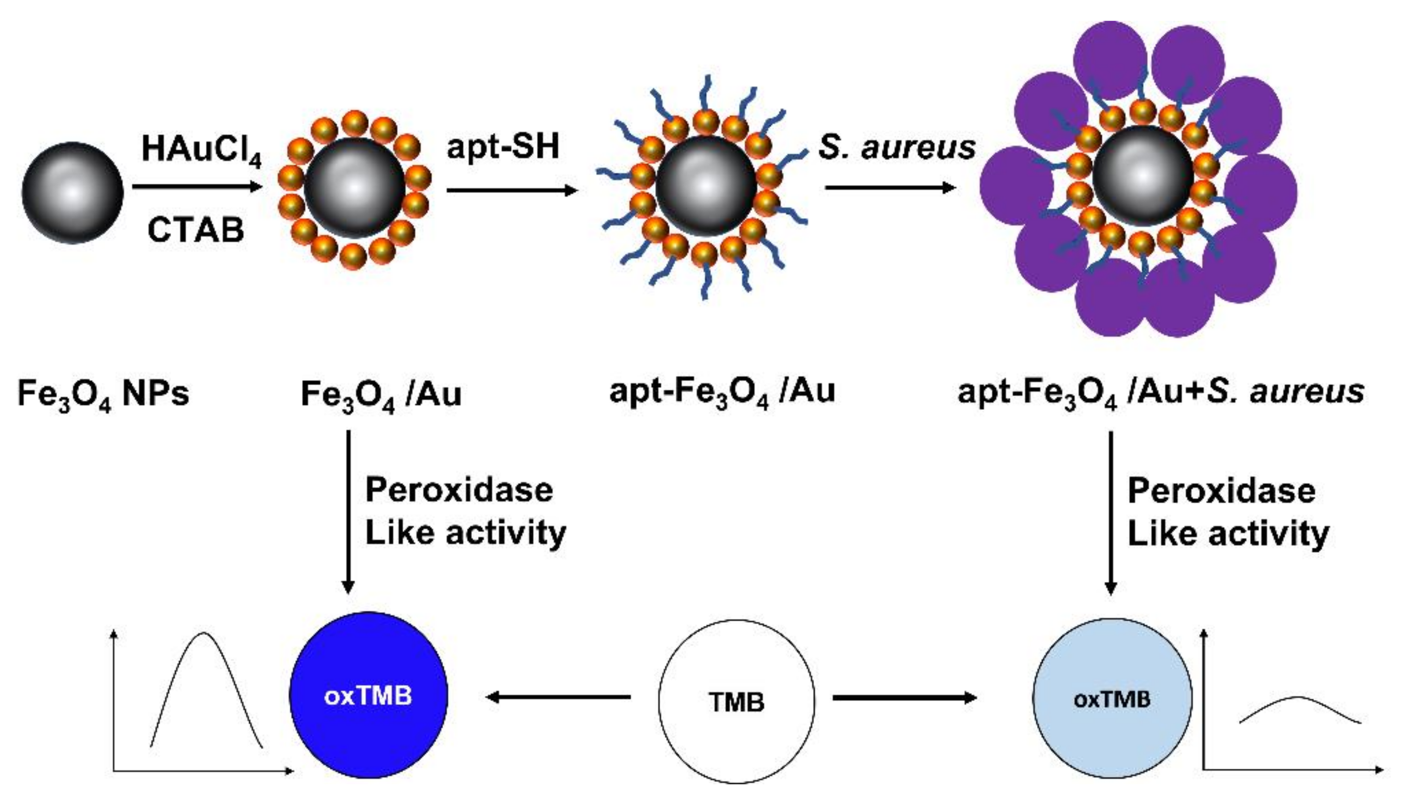 Chemosensors Free Full Text Advances In Colorimetric Assay Based On