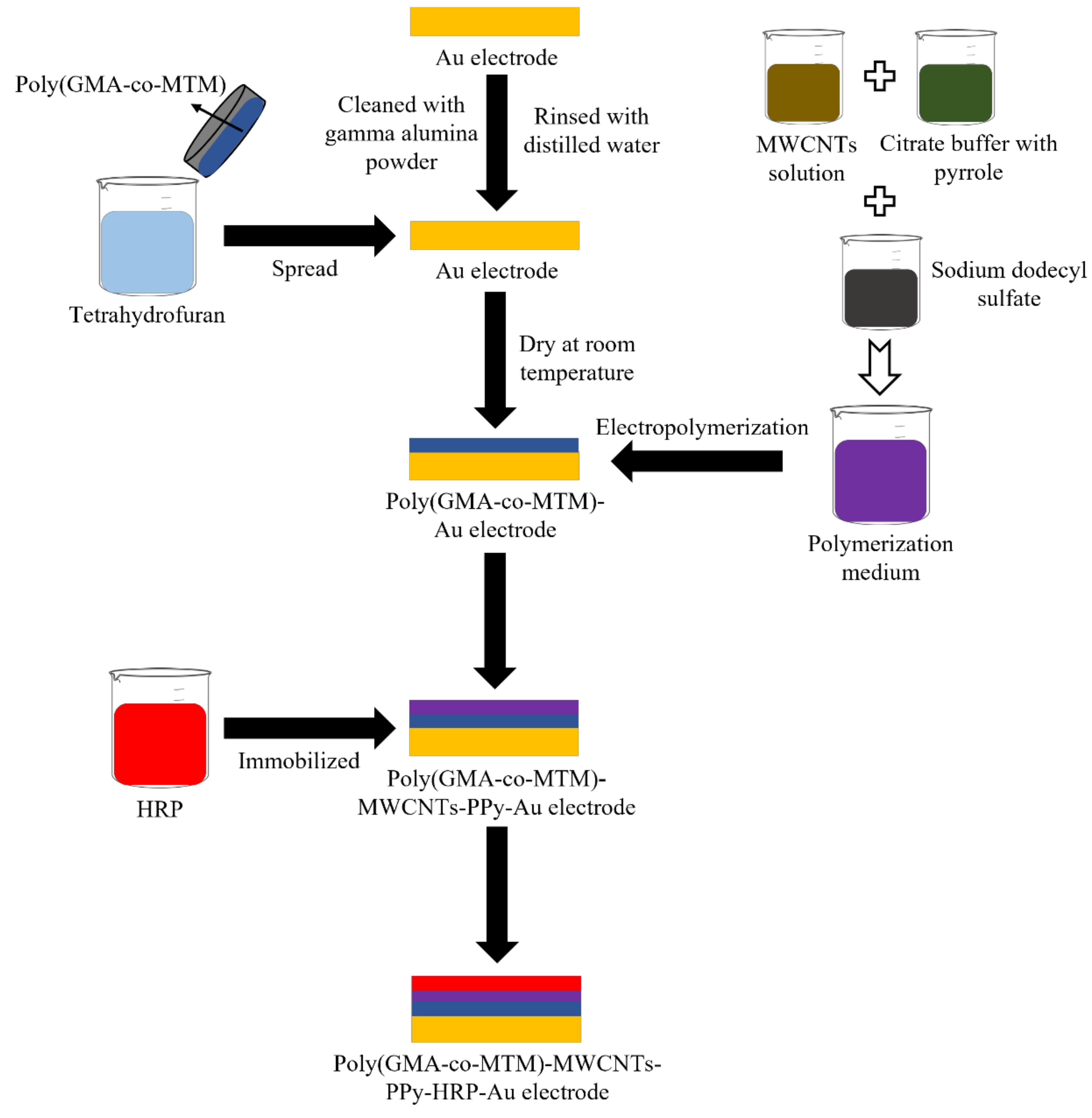 Chemosensors 09 00291 g003