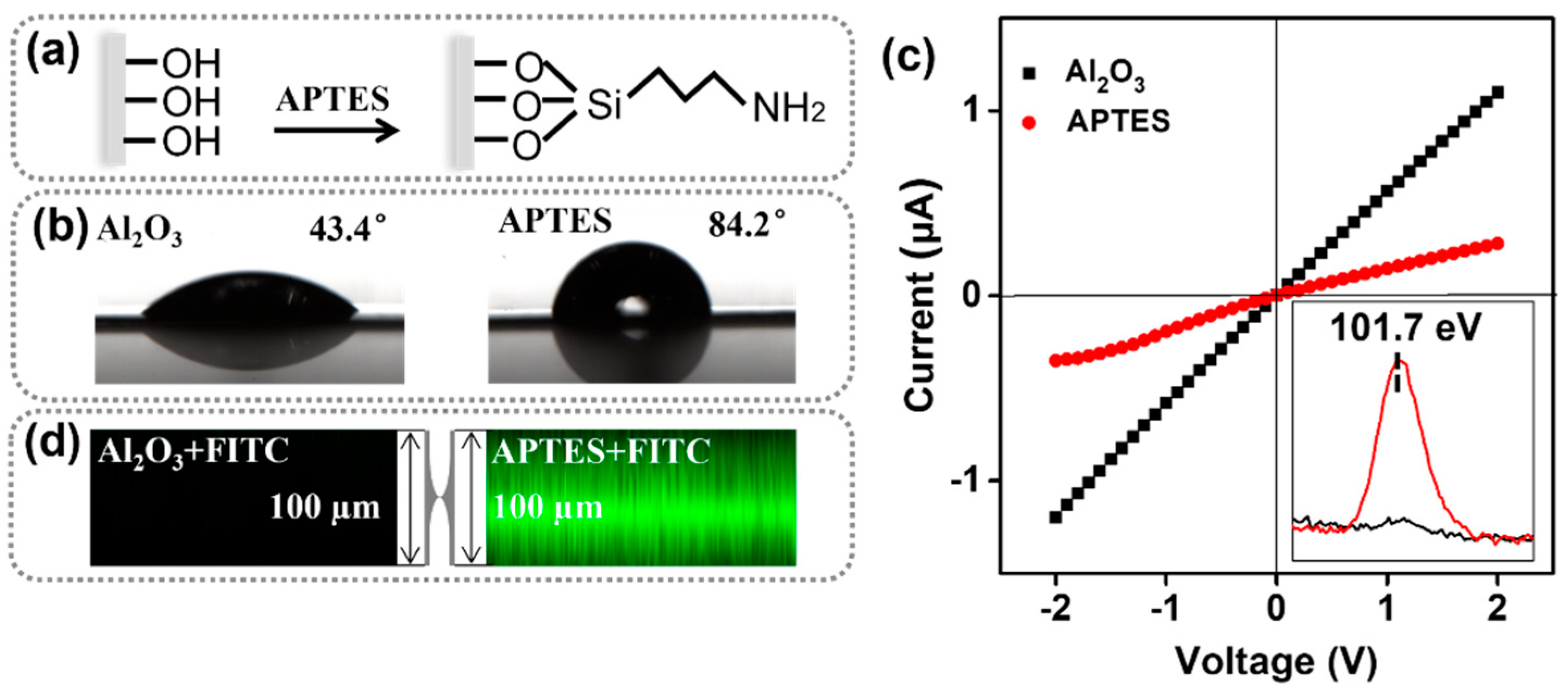 Chemosensors 09 00298 g001