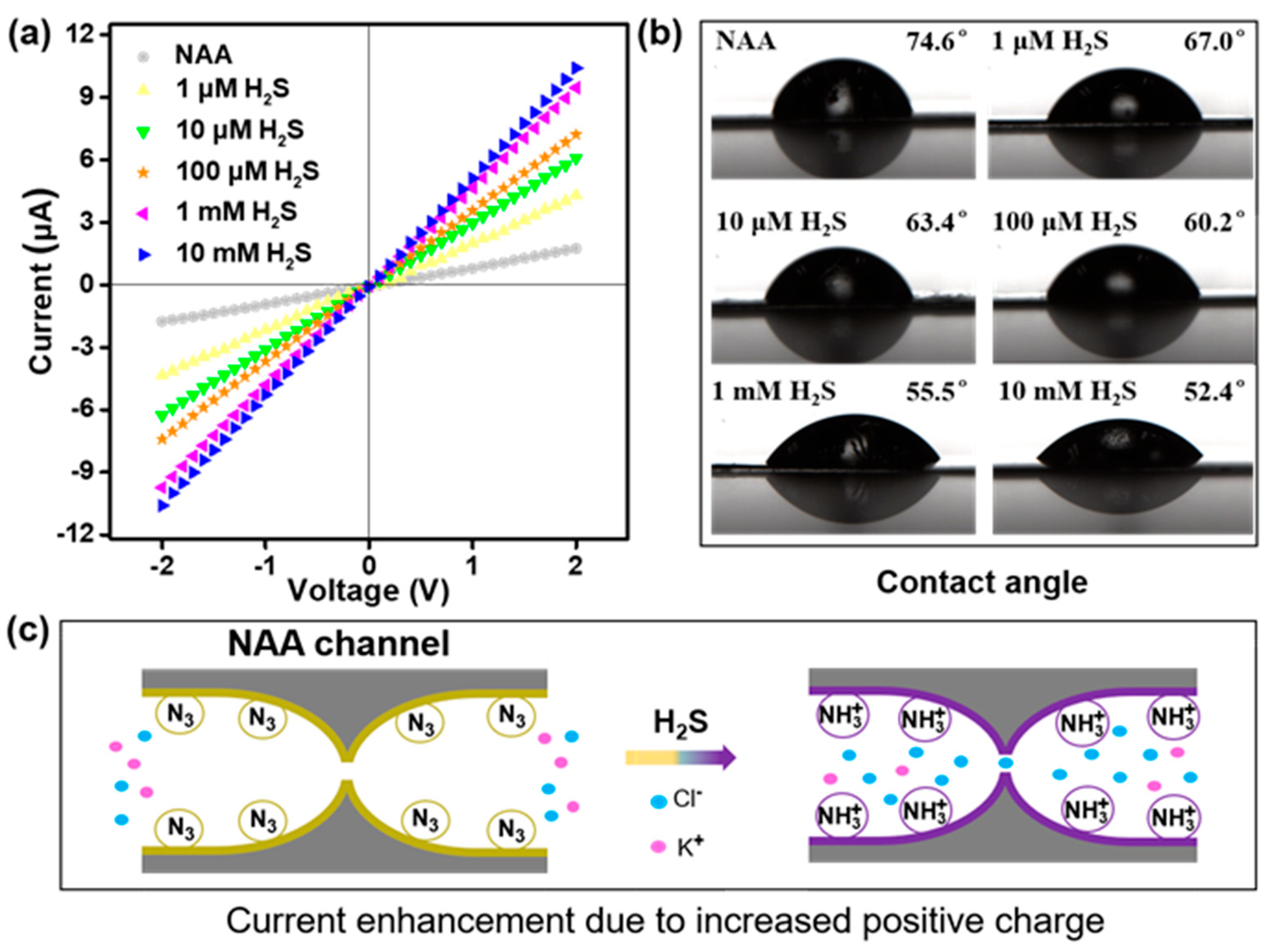 Chemosensors 09 00298 g002