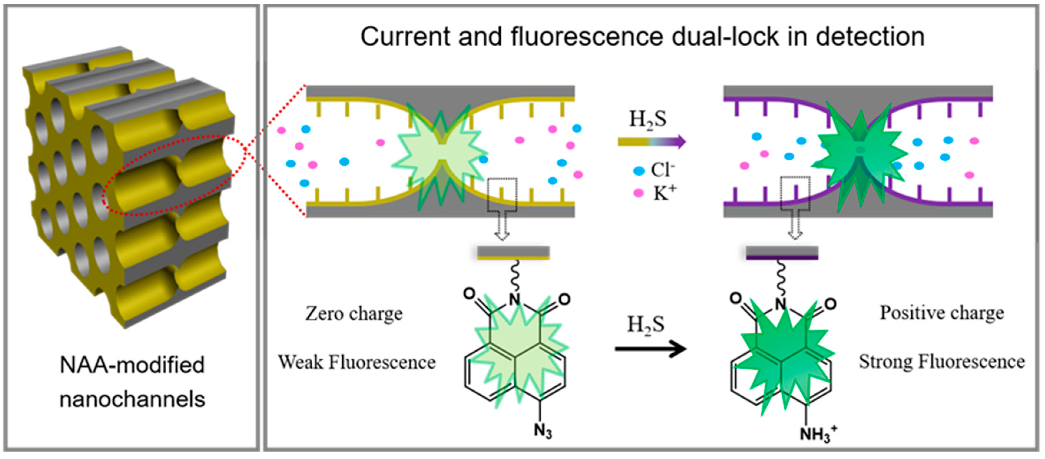 Chemosensors 09 00298 sch001