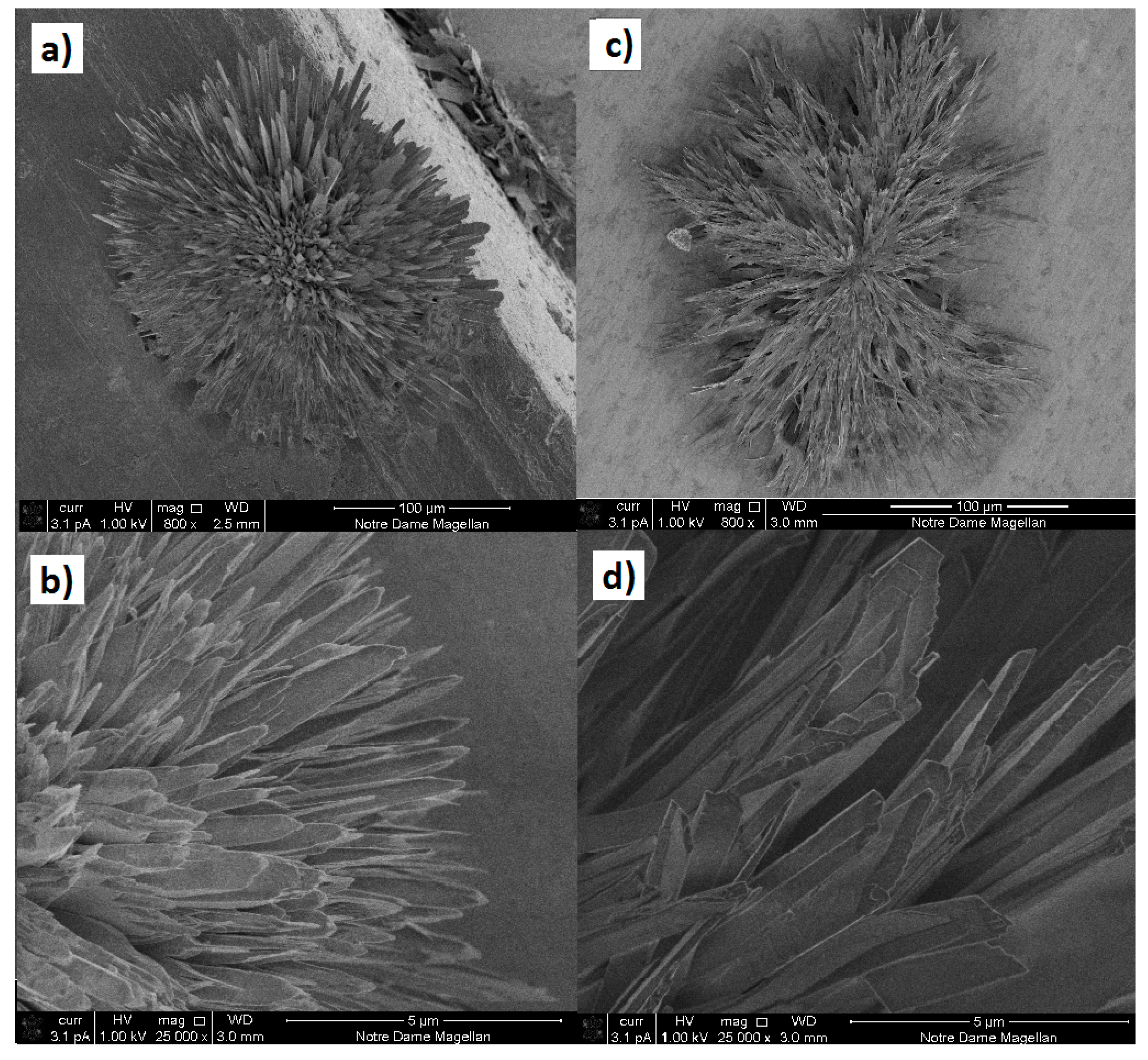 Chemosensors 09 00315 g002