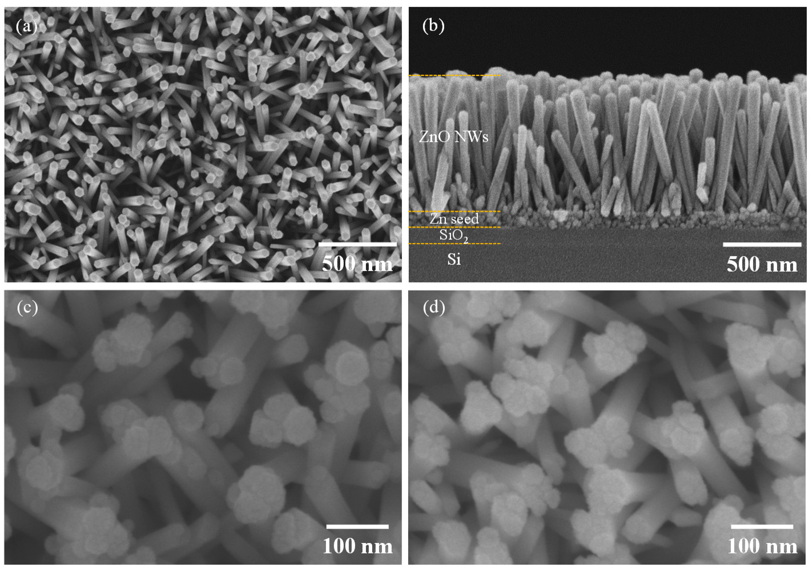 Chemosensors 09 00321 g002