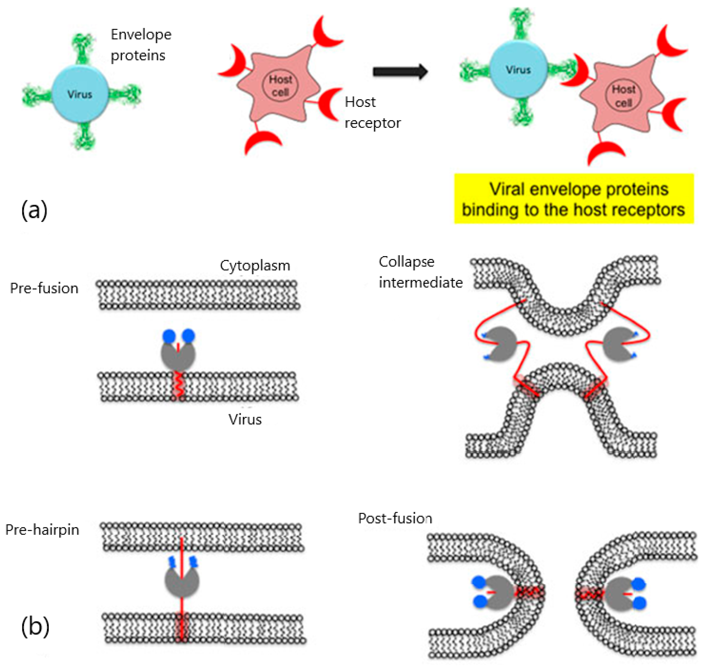 Chemosensors 09 00330 g002