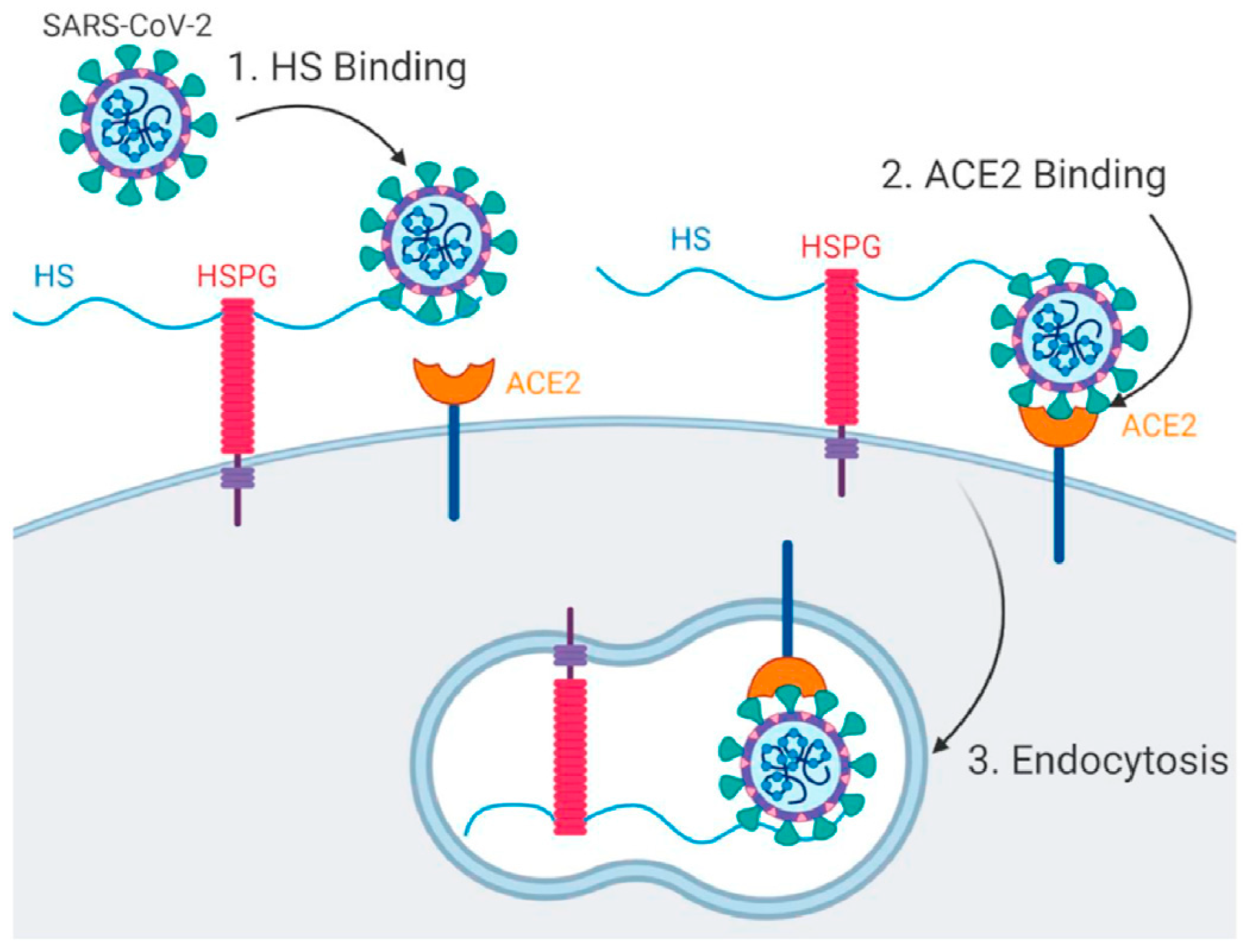 Chemosensors 09 00330 g003