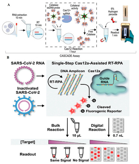 Chemosensors | Free Full-Text | CRISPR-Powered Microfluidics in ...