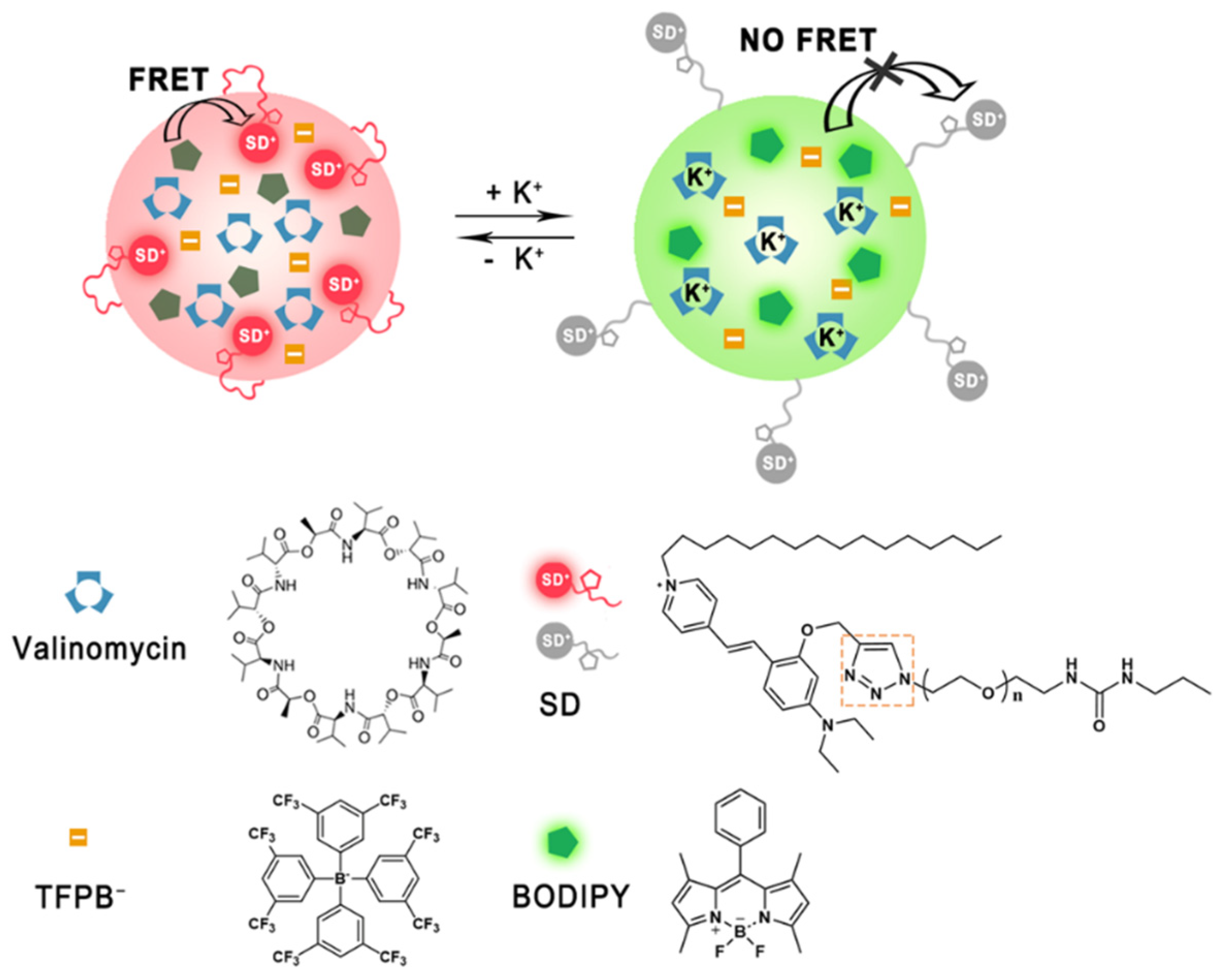 Chemosensors Free Full Text Ionophore Based Potassium Selective