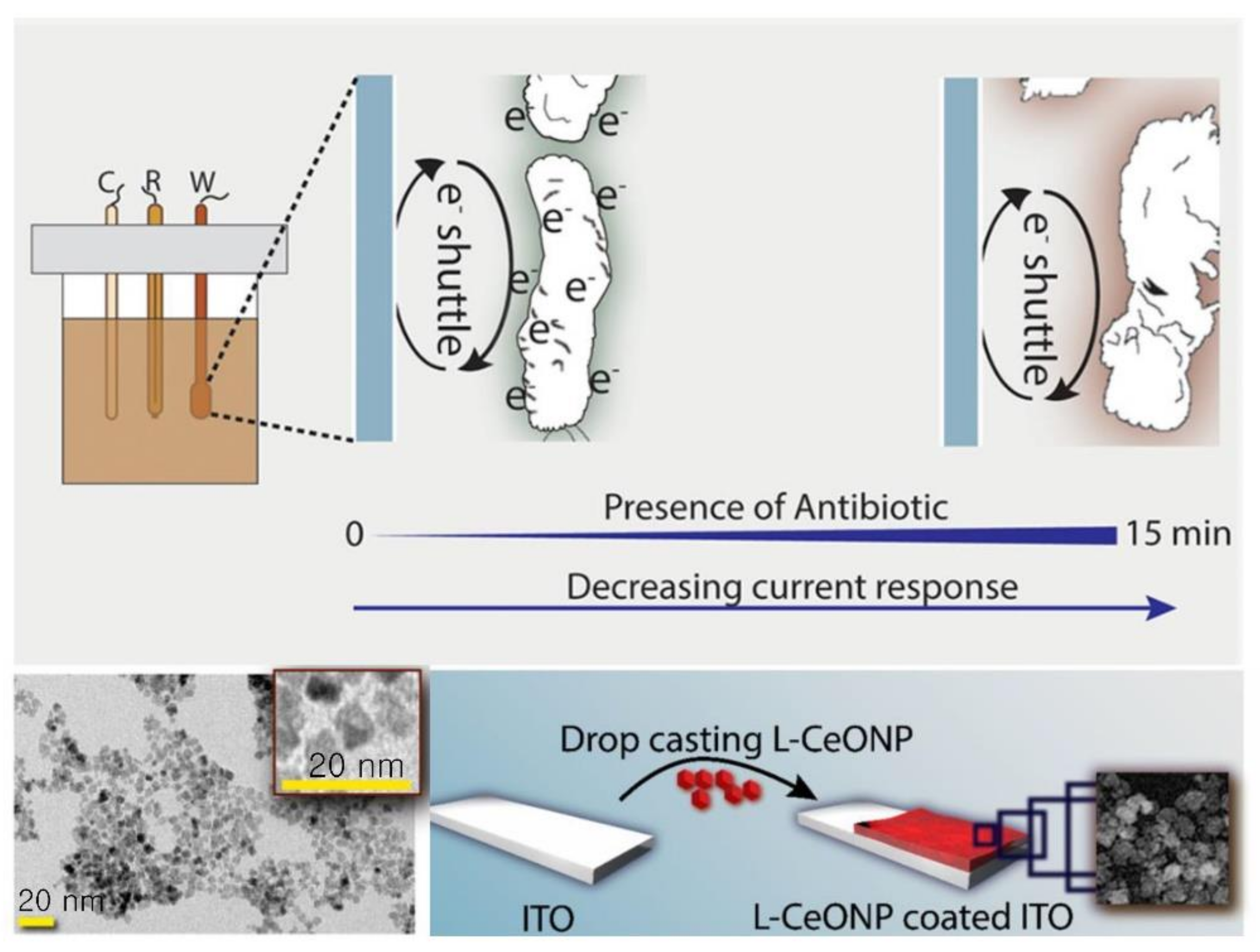 Chemosensors 10 00053 g003