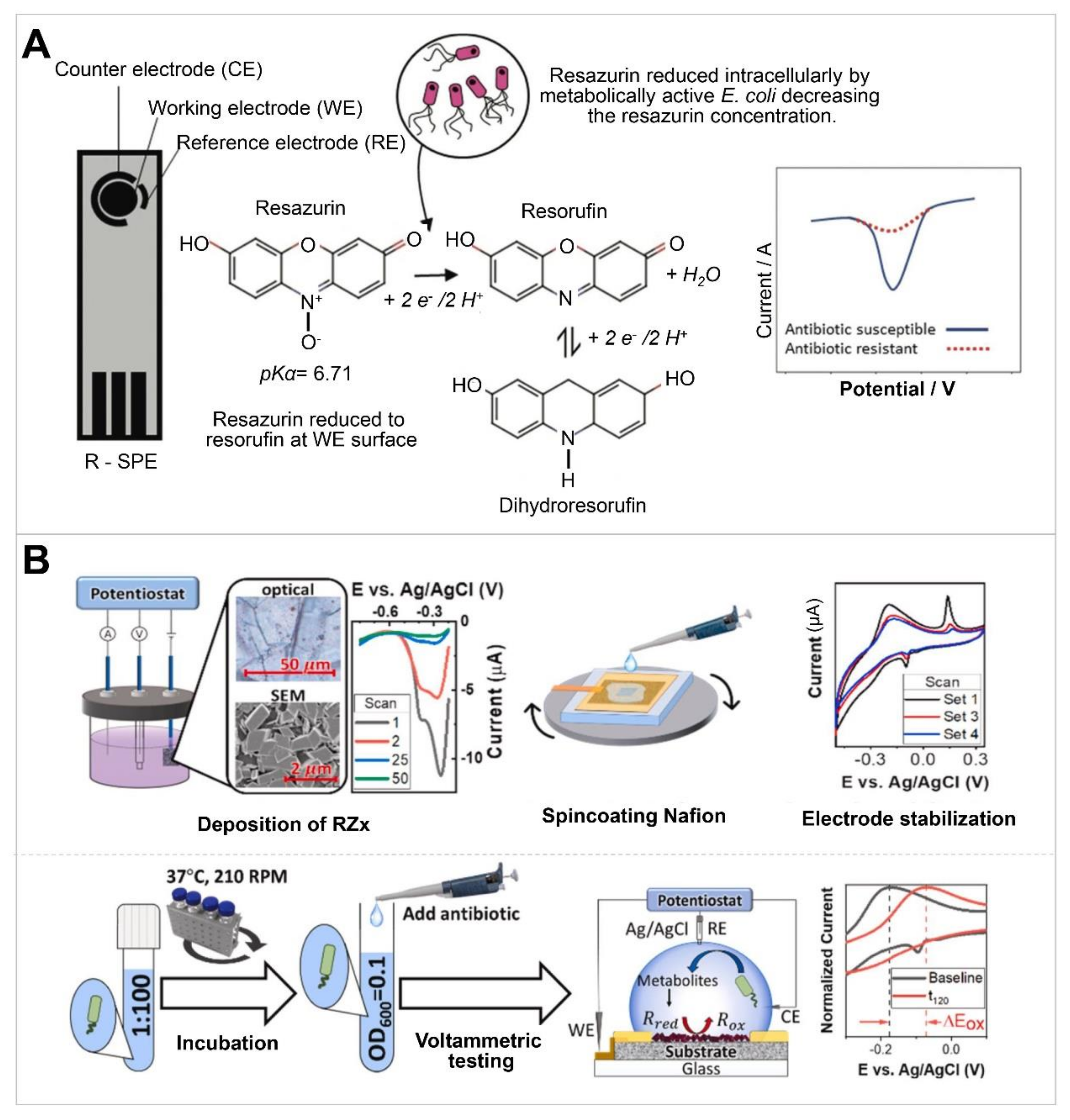 Chemosensors 10 00053 g004