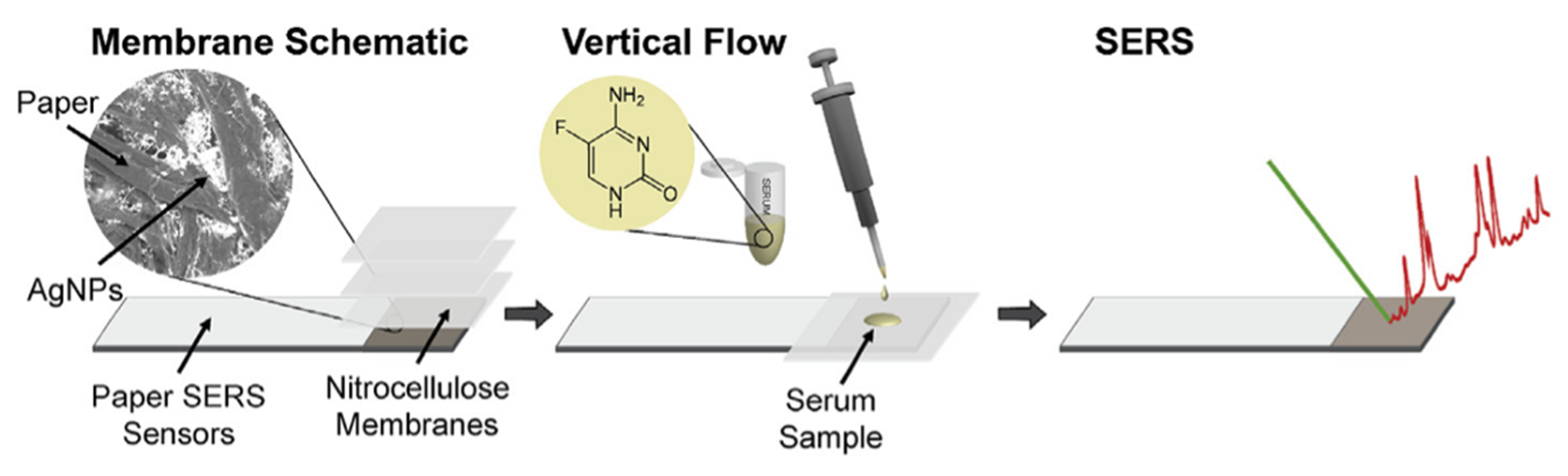 Chemosensors 10 00128 g005